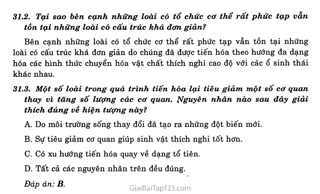 Bài 31. Tiến hóa lớn trang 2 Bài 31. Tiến hóa lớn trang 2