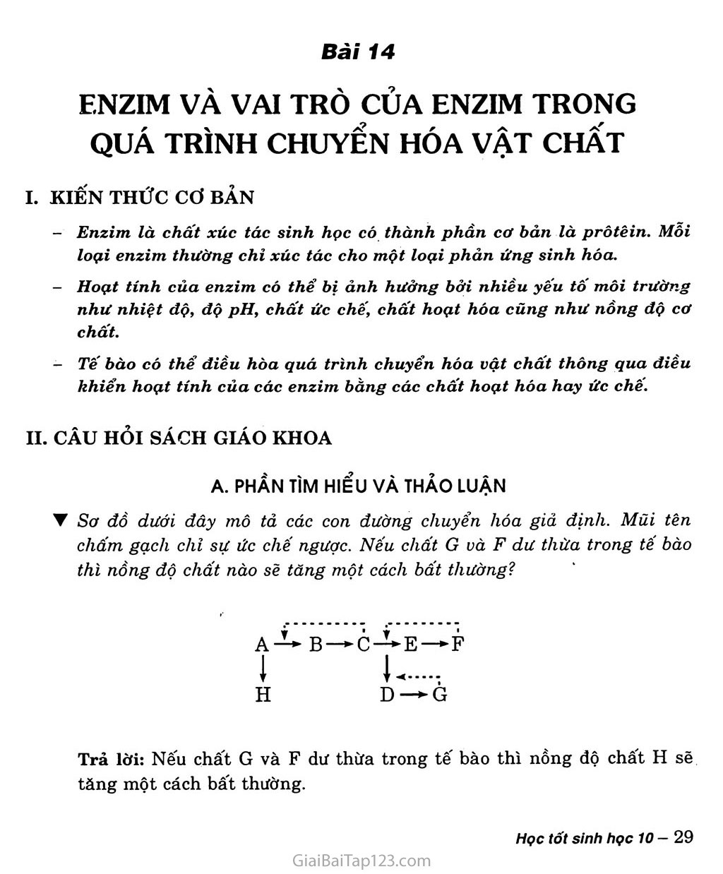 Bài 14. Enzim và vai trò của enzim trong quá trình chuyển hóa vật chất trang 1