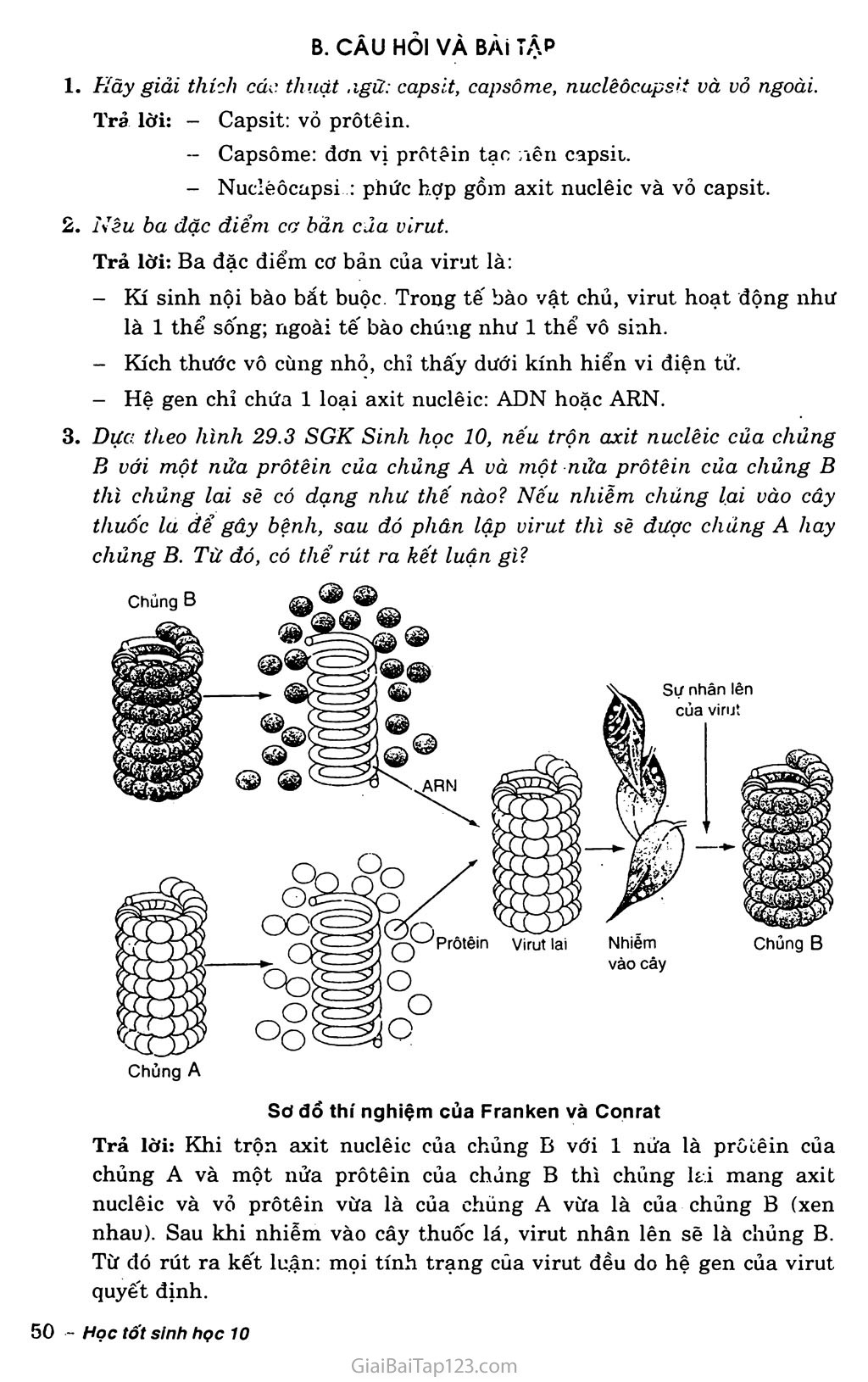 Bài 29. Cấu trúc các loại virut trang 2