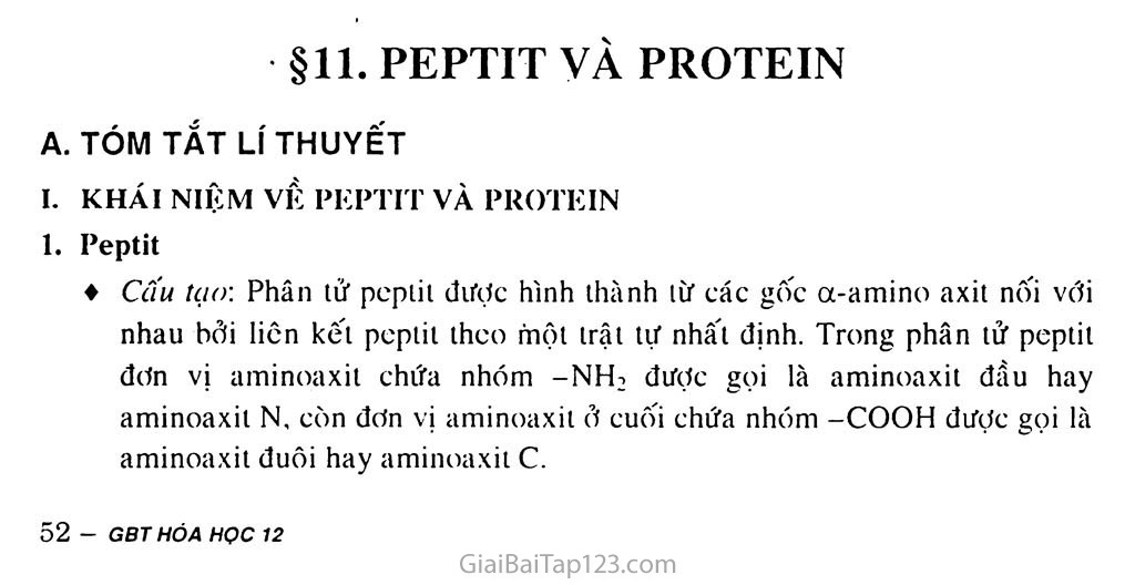 Bài 11: Peptit và protein trang 1