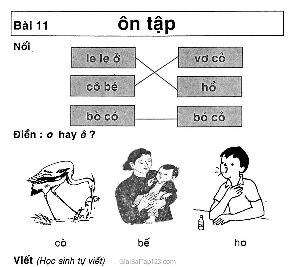 Bài 11: Ôn tập trang 1