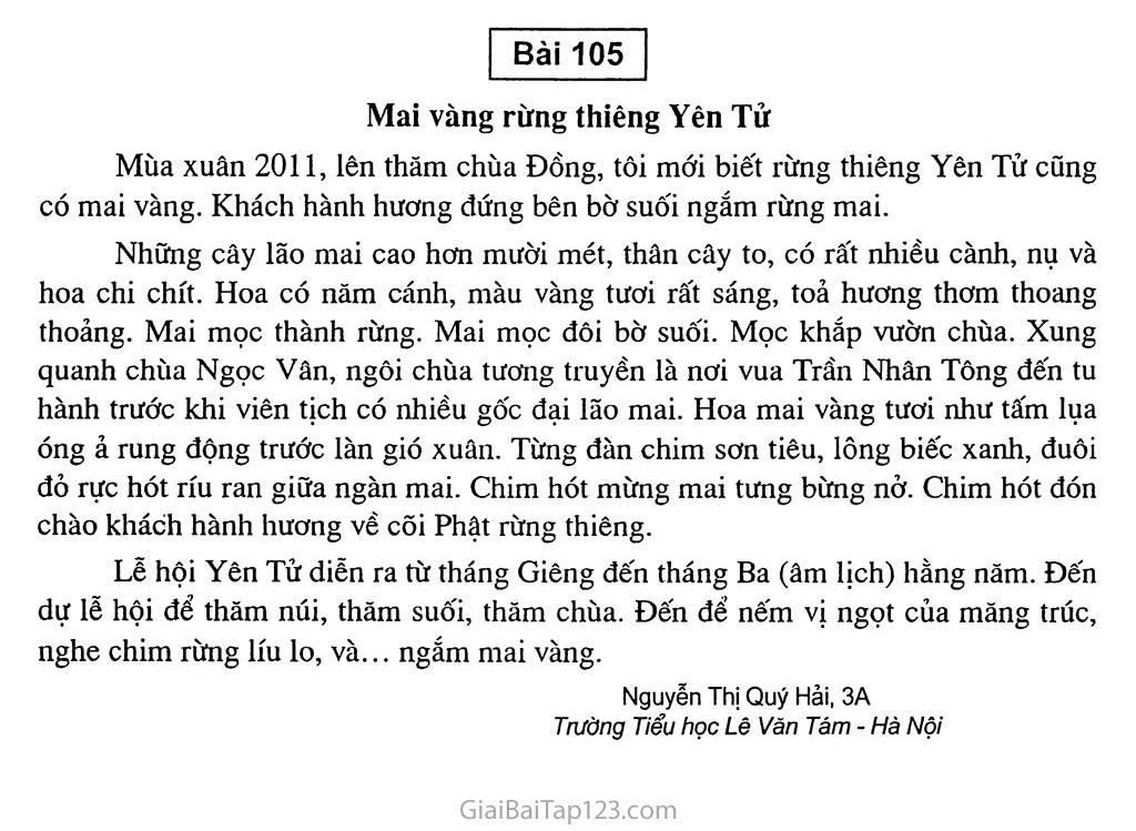 Bài 105: Mai vàng rừng thiêng Yên Tử trang 1