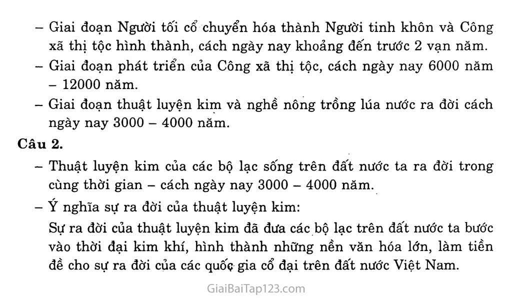 Bài 13: Việt Nam thời nguyên thủy trang 4