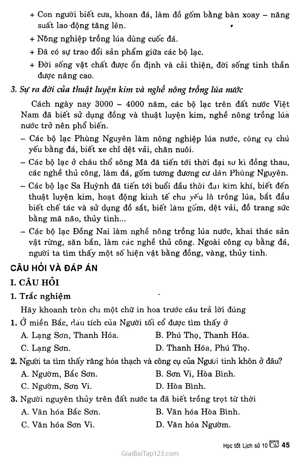 Bài 13: Việt Nam thời nguyên thủy trang 2