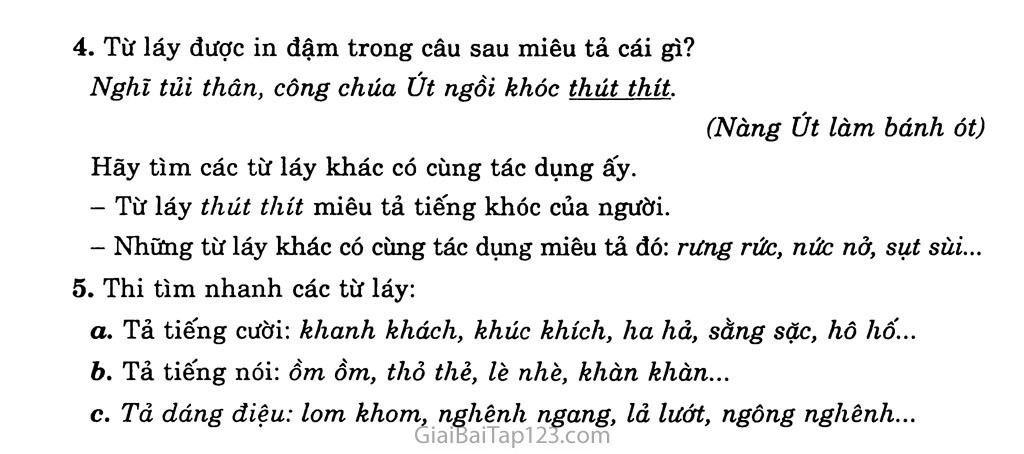 Từ và cấu tạo của từ Tiếng Việt trang 3