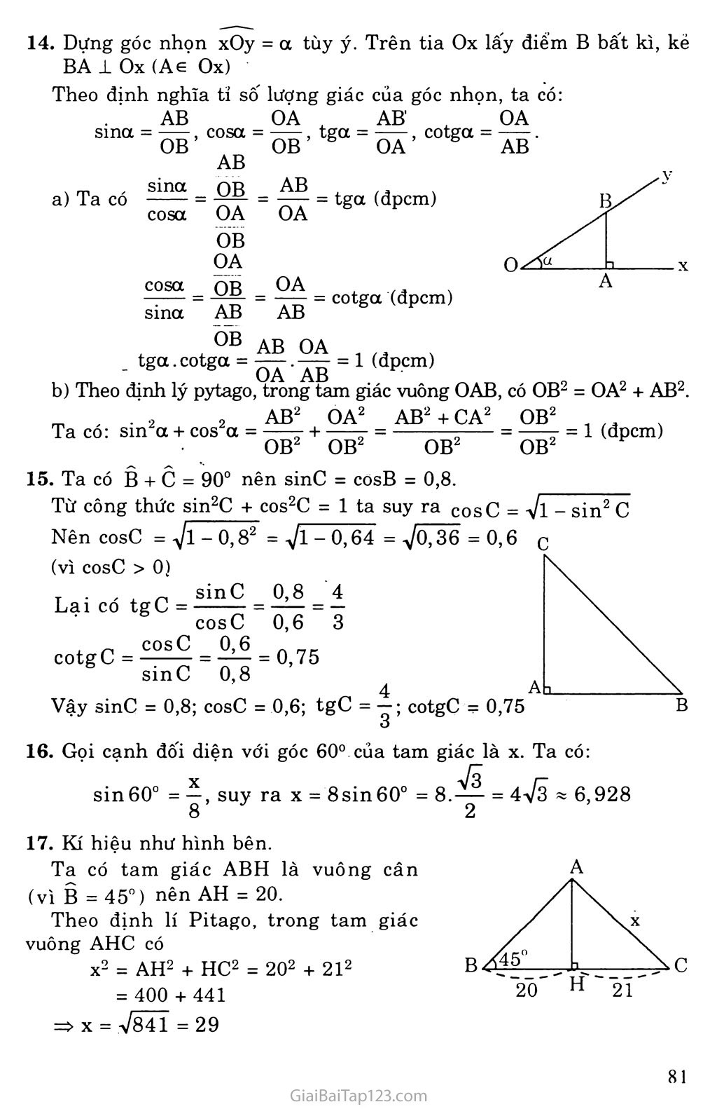 Bài 2. Tỉ số lượng giác của góc nhọn trang 6