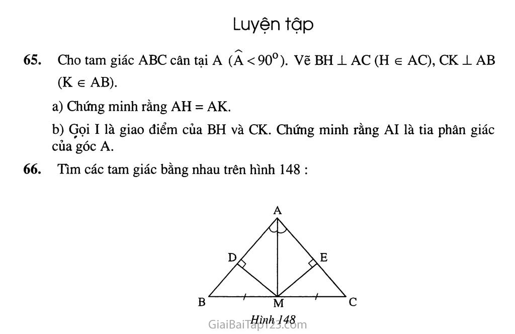 Bài 8. Các trường hợp bằng nhau của tam giác vuông trang 4