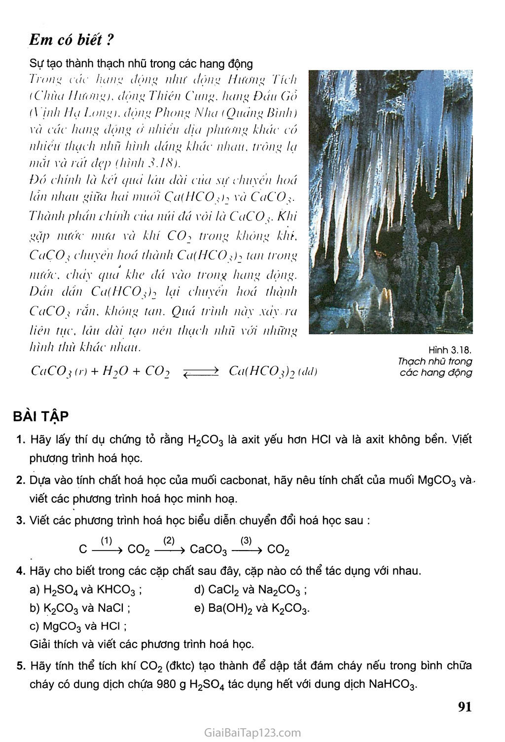 Bài 29: Axit cacbon và muối cacbonat trang 4