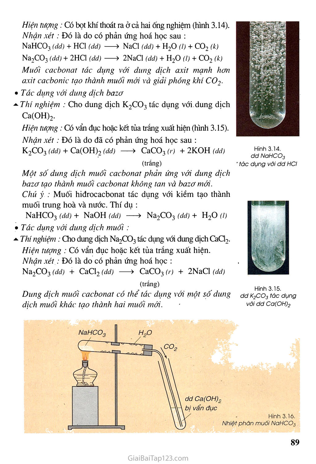Bài 29: Axit cacbon và muối cacbonat trang 2
