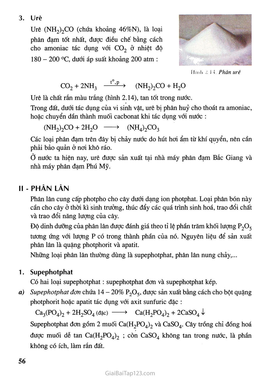 Bài 12: Phân bón hóa học trang 2