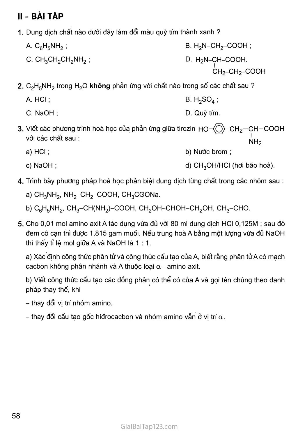 Bài 12: Luyện tập: Cấu tạo và tinh chất của amin, amino axit và protein trang 2