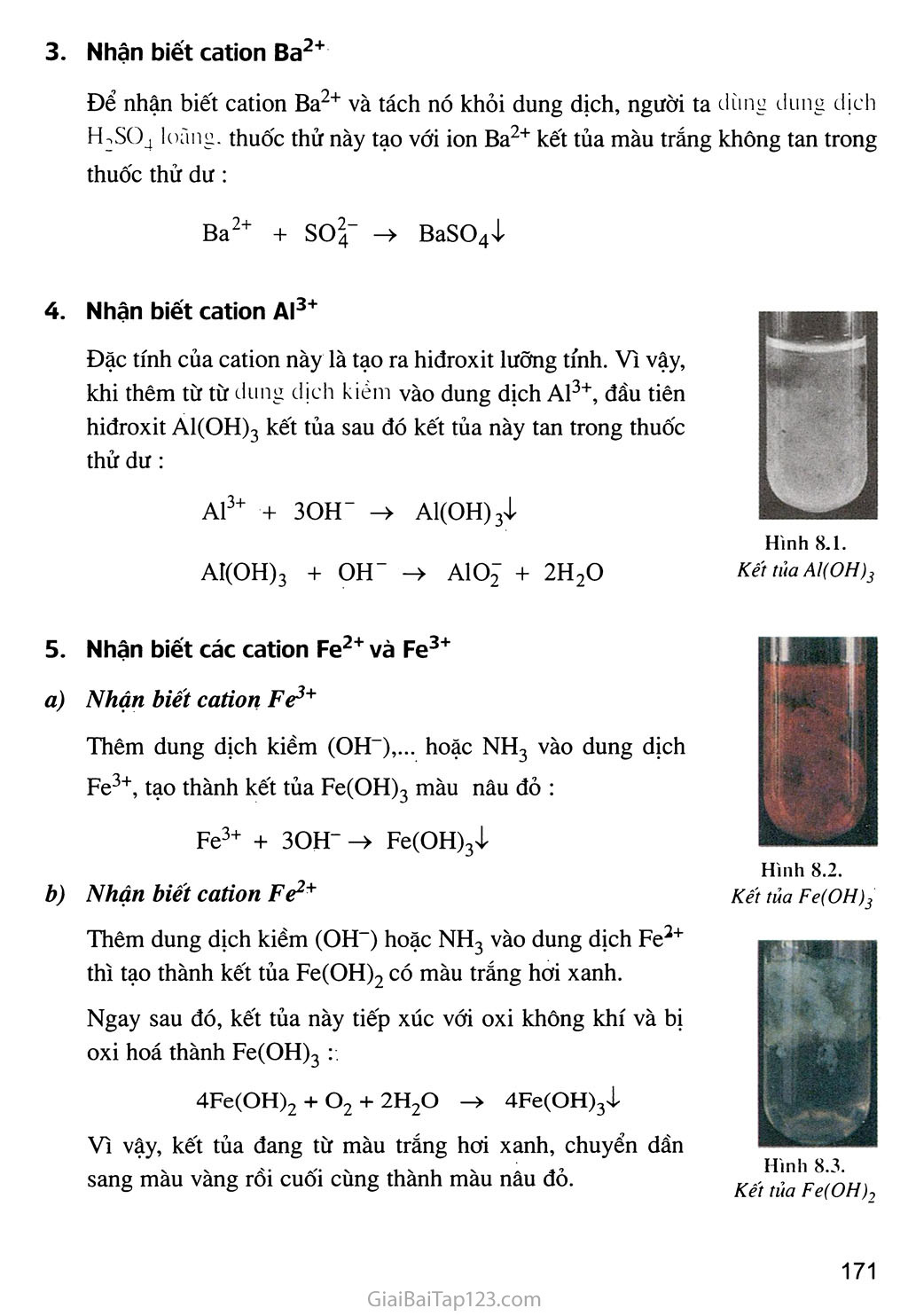 Bài 40: Nhận biết một số ion trong dung dịch trang 3