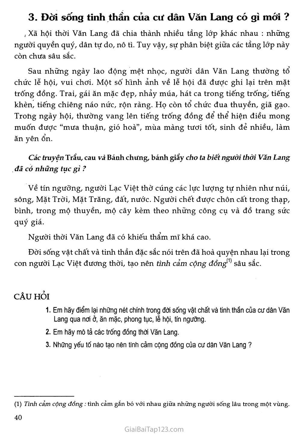 Bài 13 - Đời sống vật chất và tinh thần của cư dân Văn Lang (1 tiết) trang 3