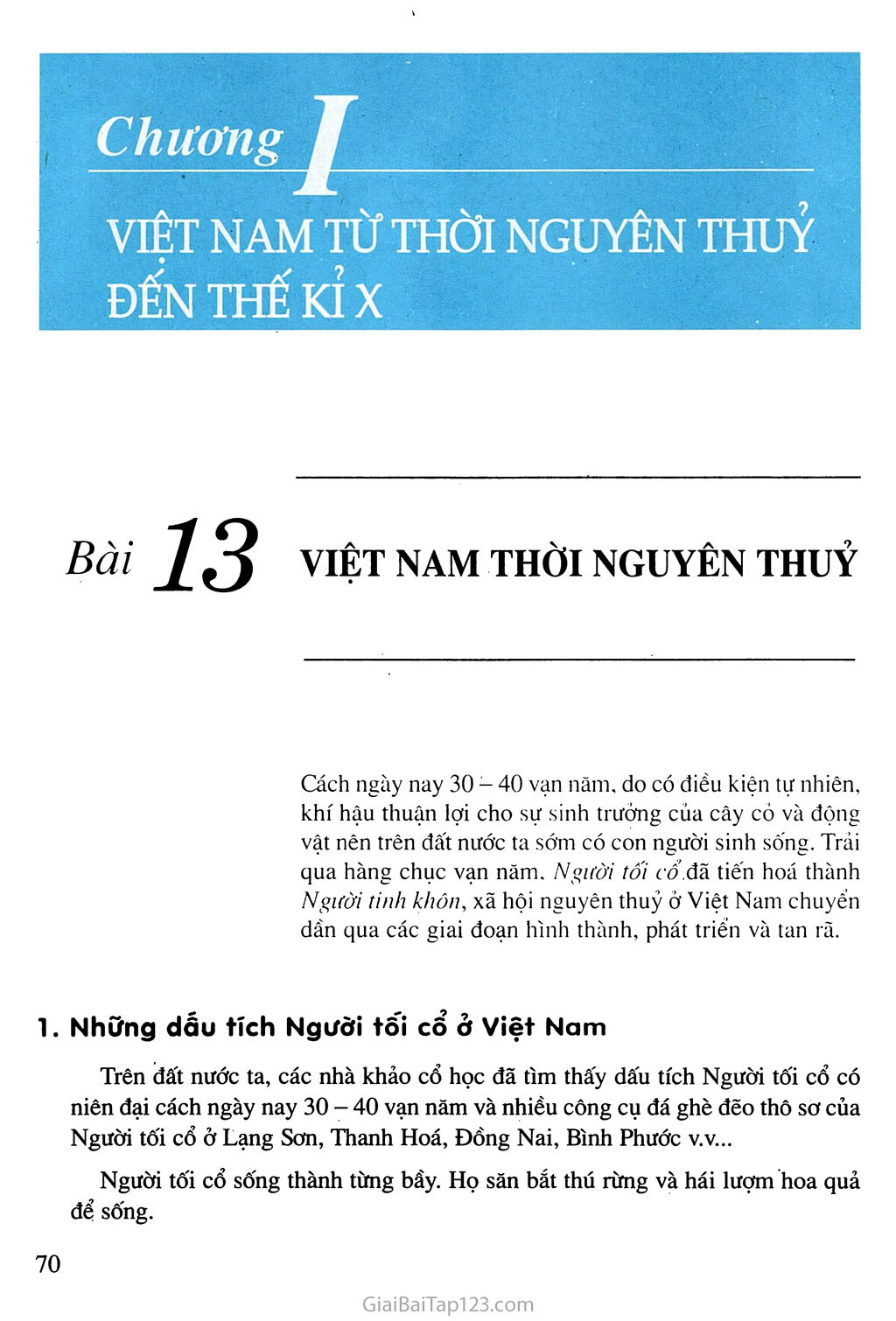 Bài 13: Việt Nam thời nguyên thuỷ trang 1 Bài 13: Việt Nam thời nguyên thuỷ trang 1