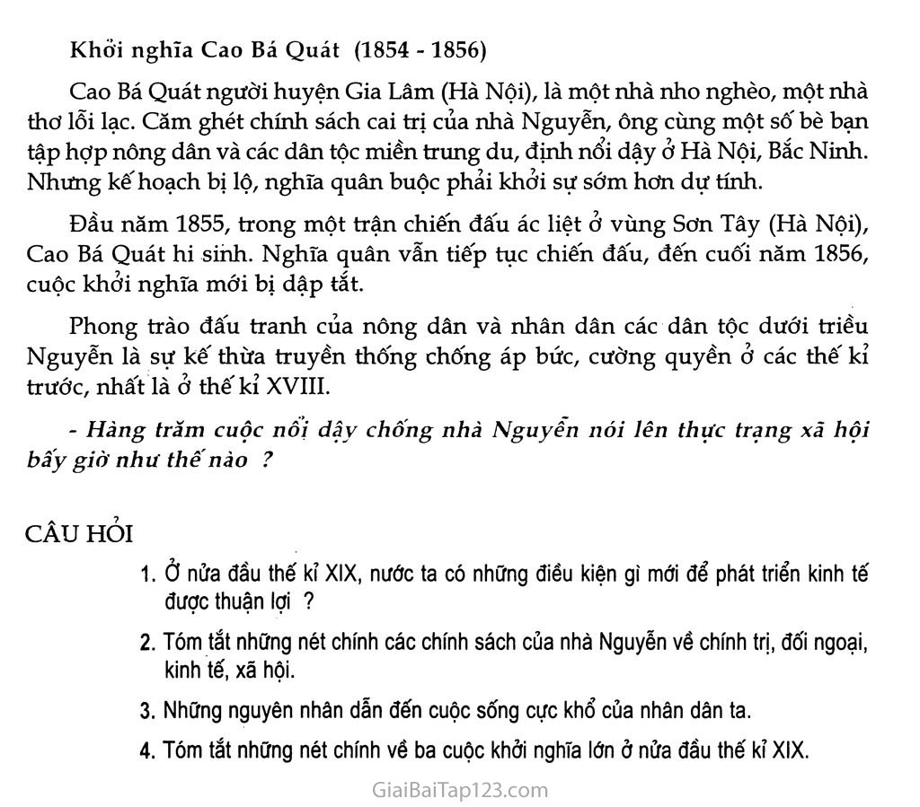 Bài 27 - Chế độ phong kiến nhà Nguyễn trang 9