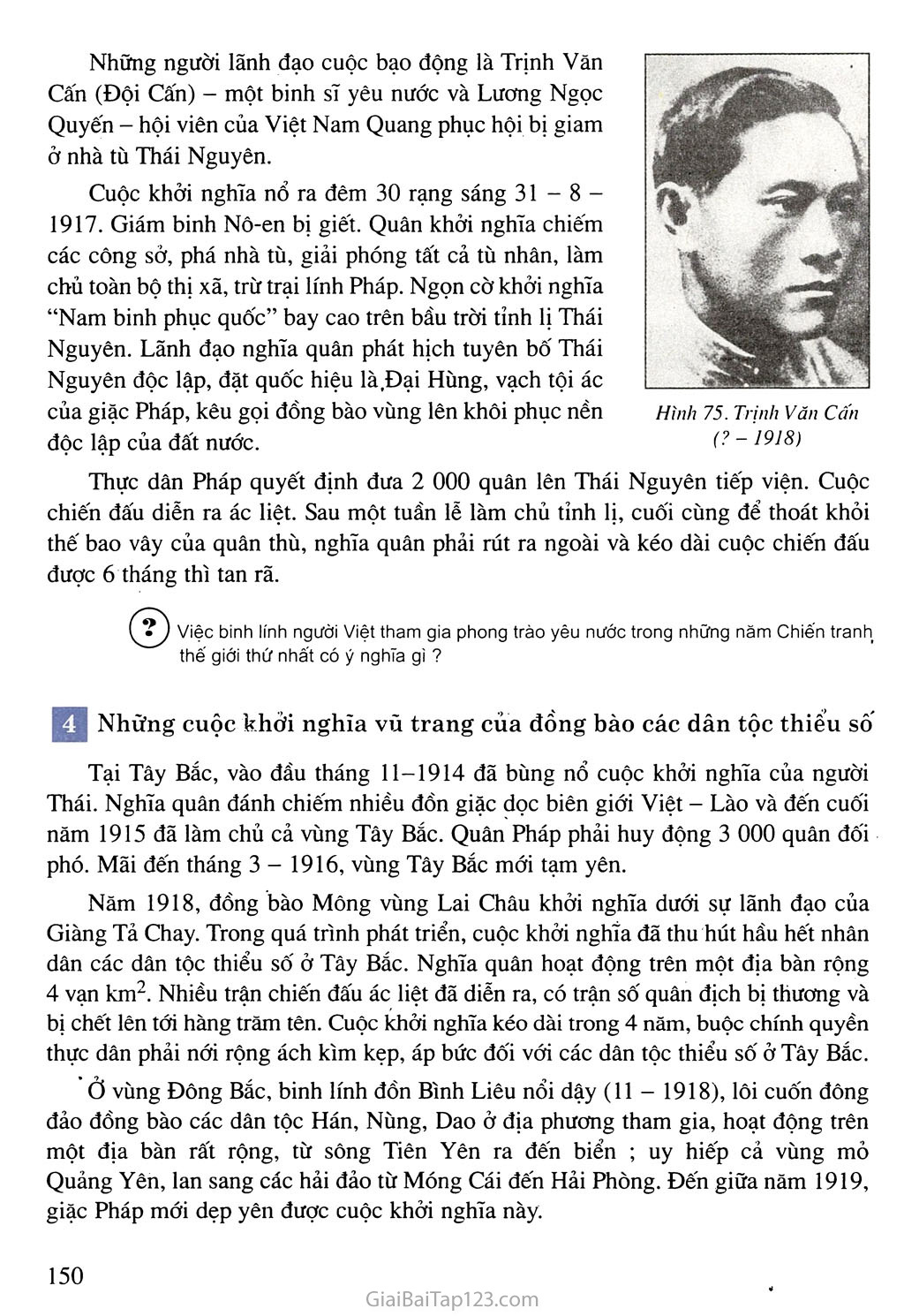 Bài 24. Việt Nam trong những năm Chiến tranh thế giới thứ nhất (1914 - 1918) trang 5