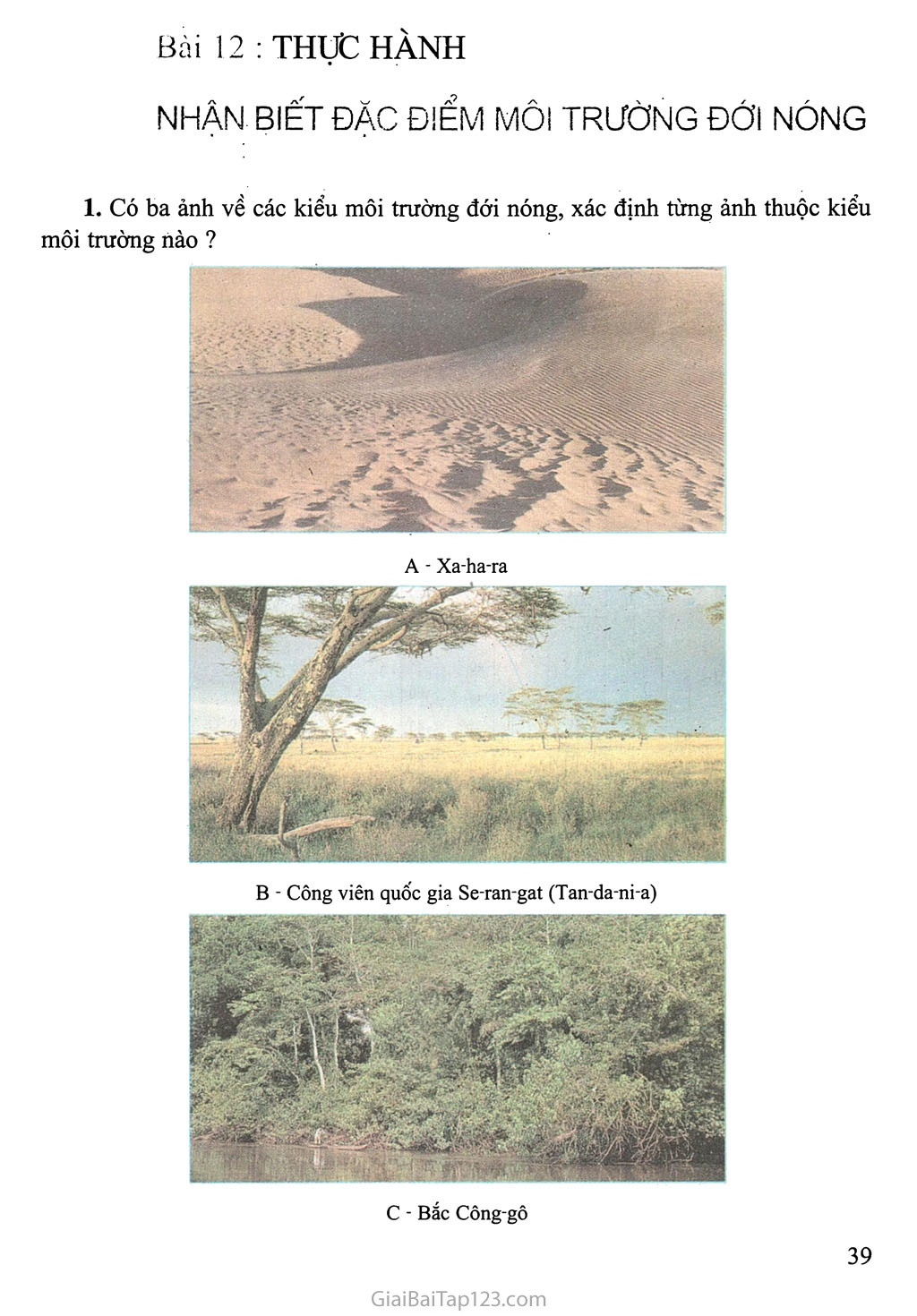 Bài 12: Thực hành: Nhận biết đặc điểm môi trường đới nóng trang 1