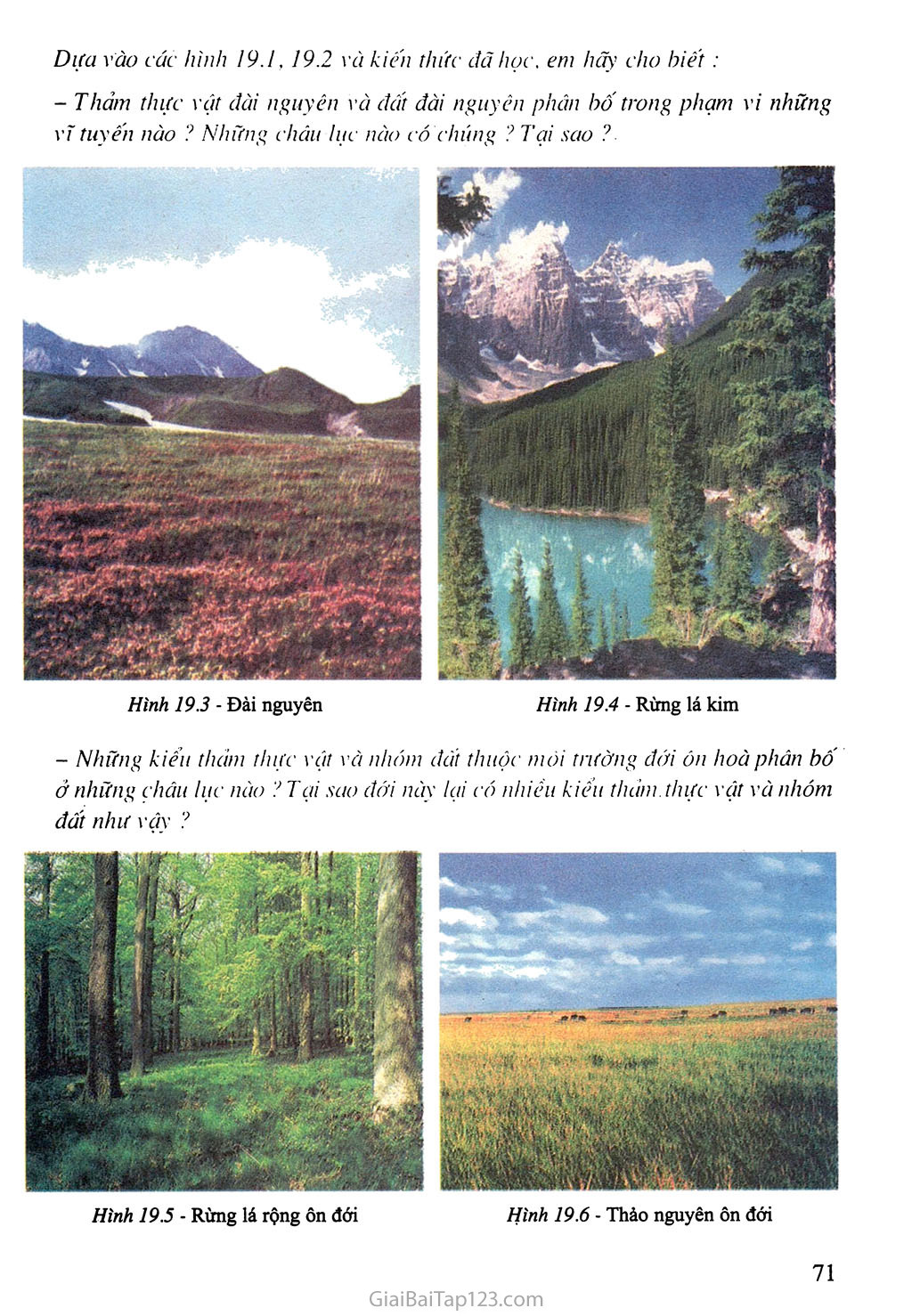 Bài 19. Sự phân bố sinh vật và đất trên Trái Đất trang 3