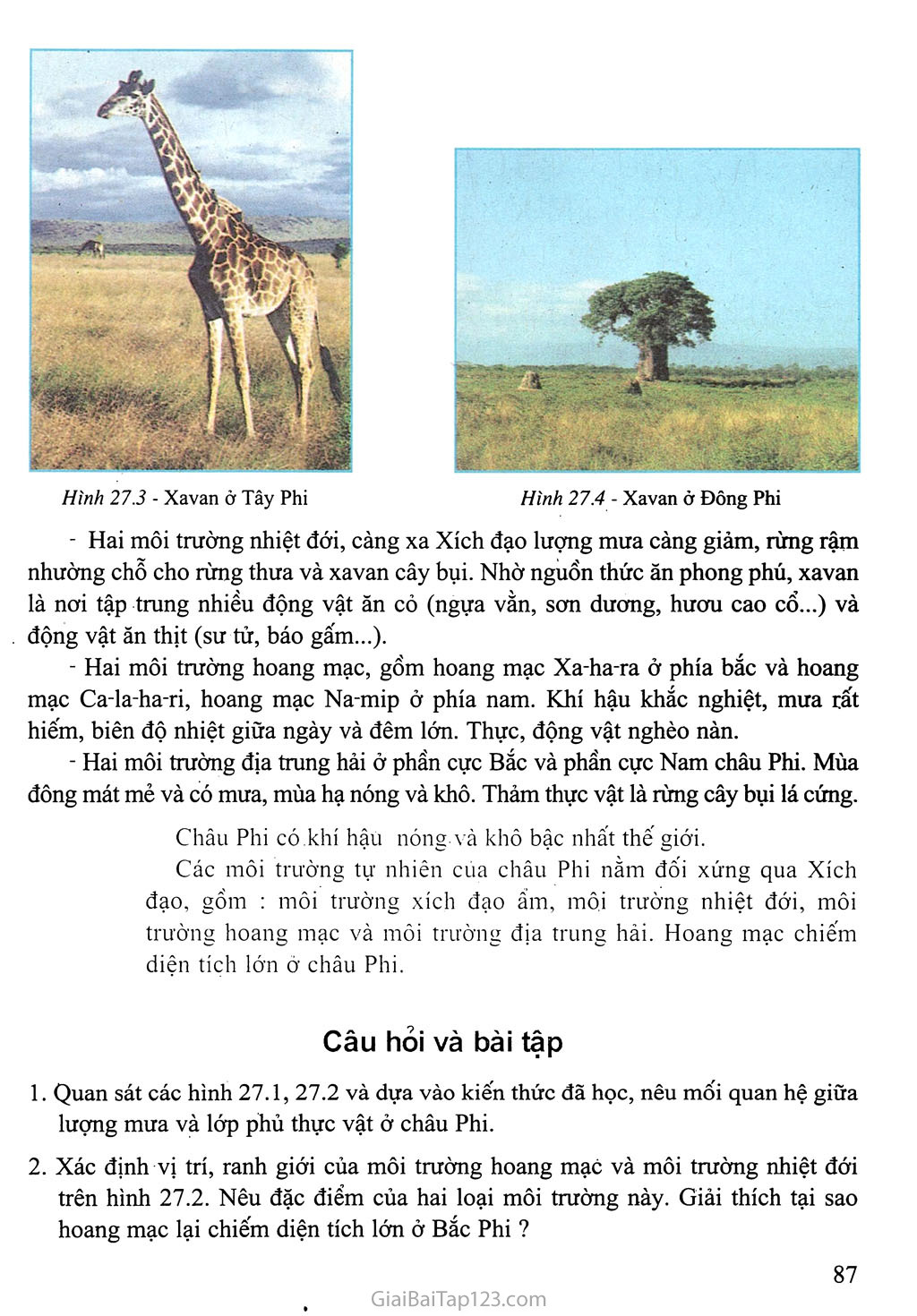 Bài 27: Thiên nhiên châu Phi (Tiếp theo) trang 3