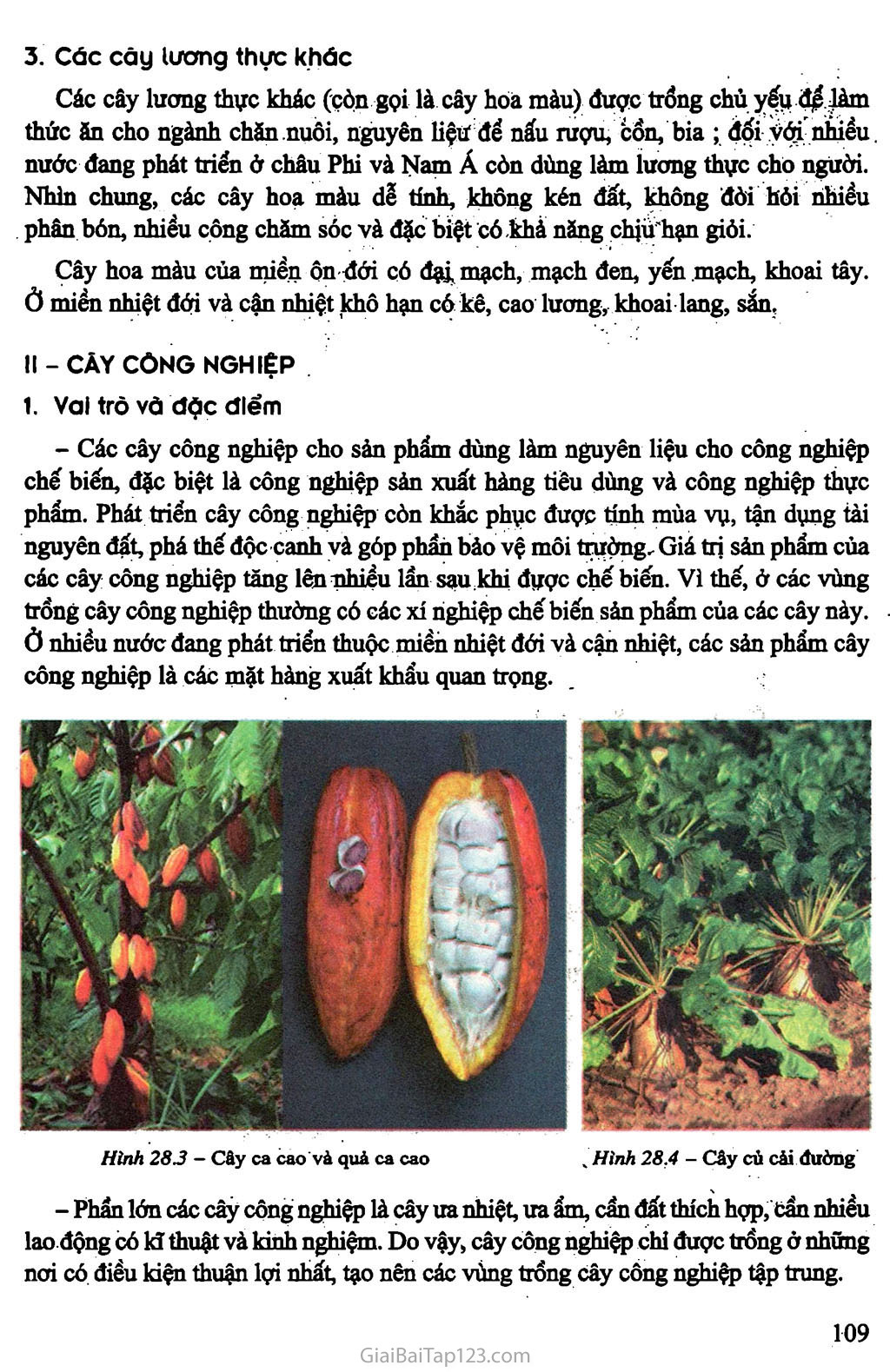 Bài 28. Địa lí ngành trồng trọt trang 3