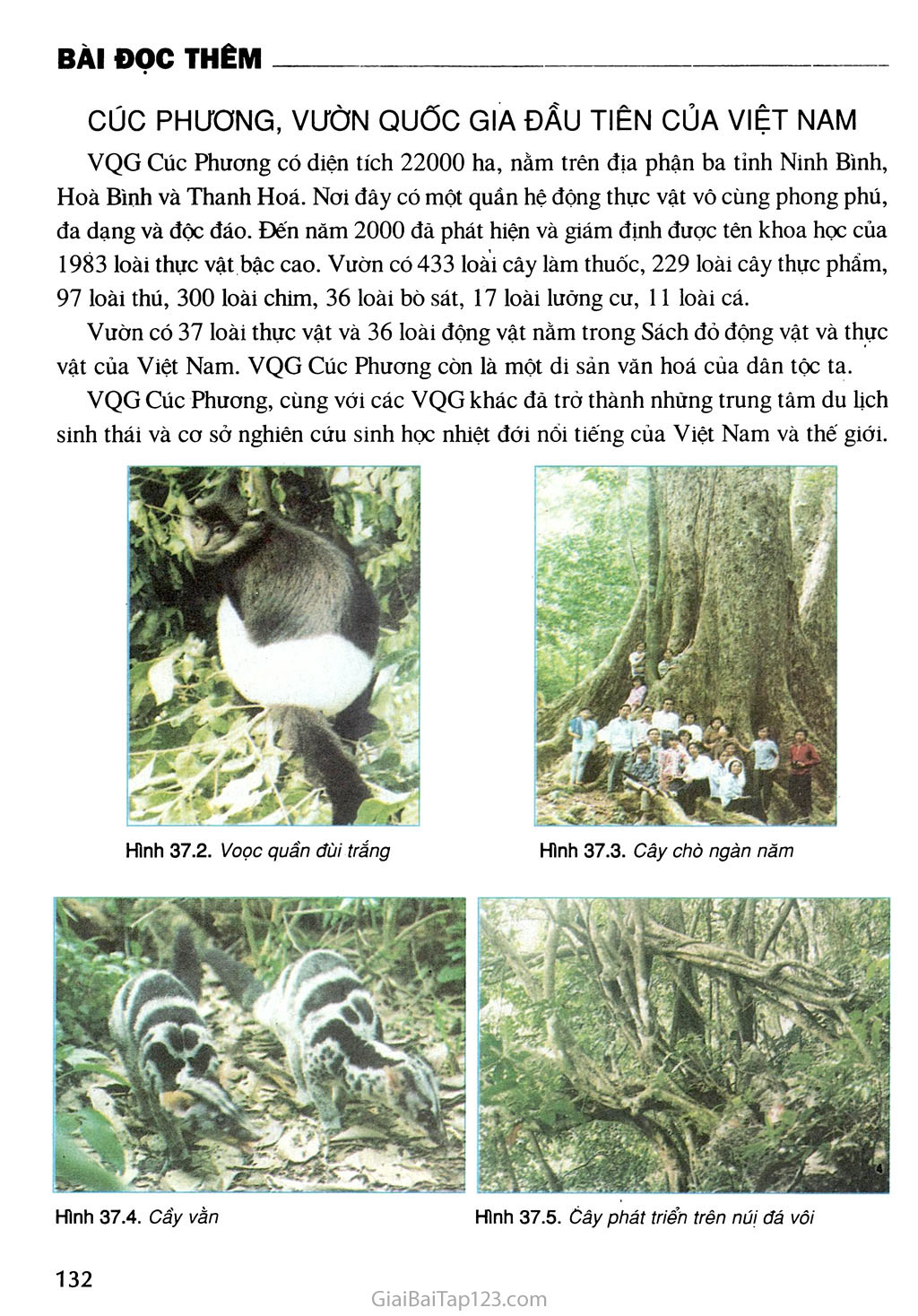 Bài 37. Đặc điểm sinh vật Việt Nam trang 3