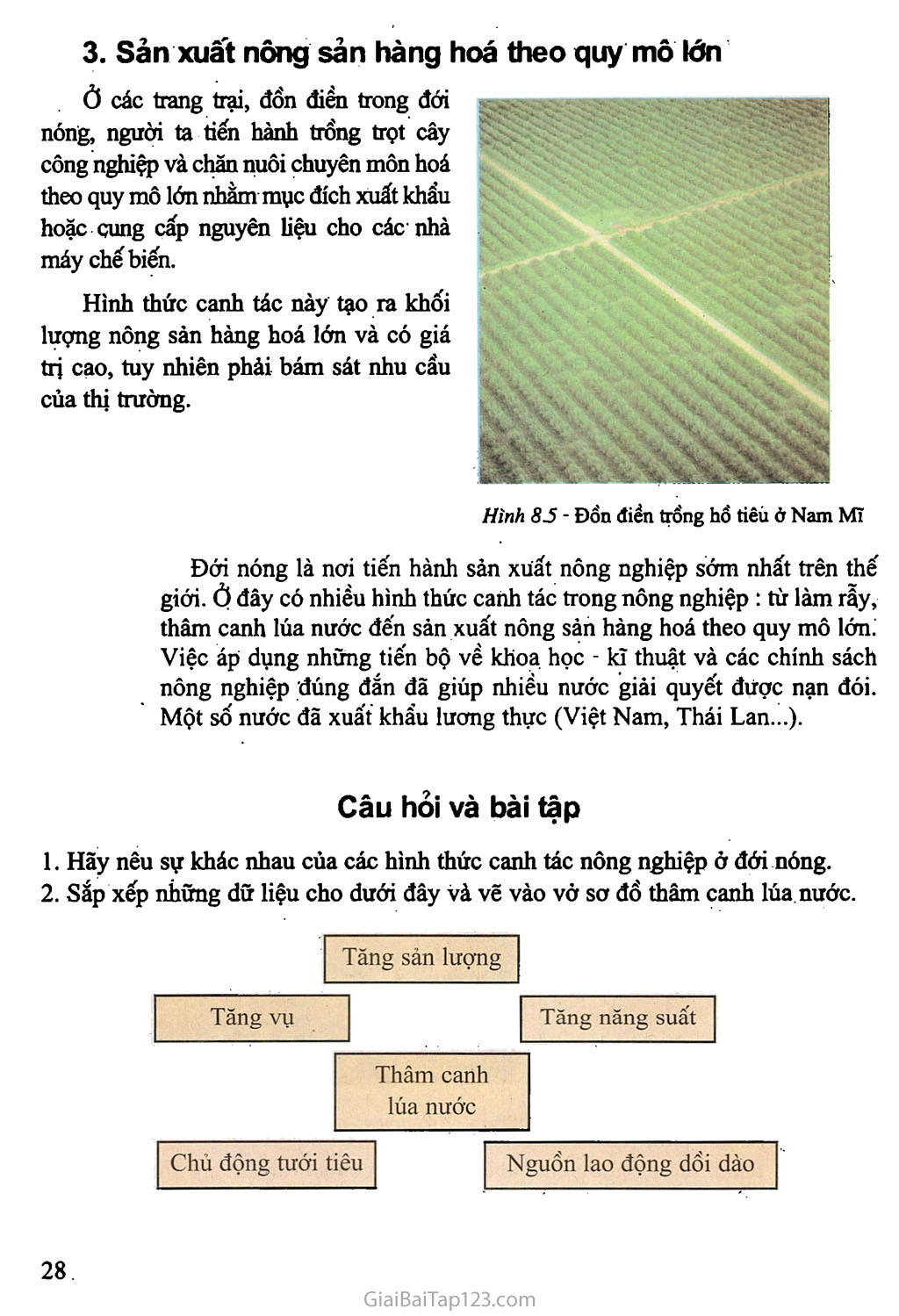Bài 8: Các hình thức canh tác trong nông nghiệp ở đới nóng trang 3