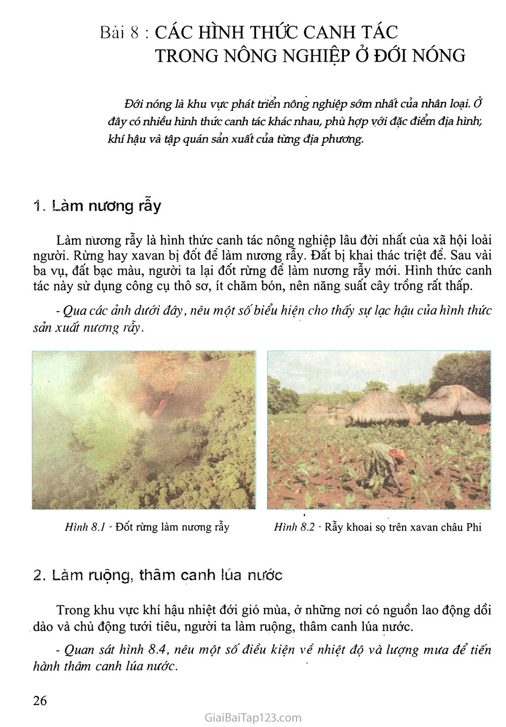 Bài 8: Các hình thức canh tác trong nông nghiệp ở đới nóng trang 1