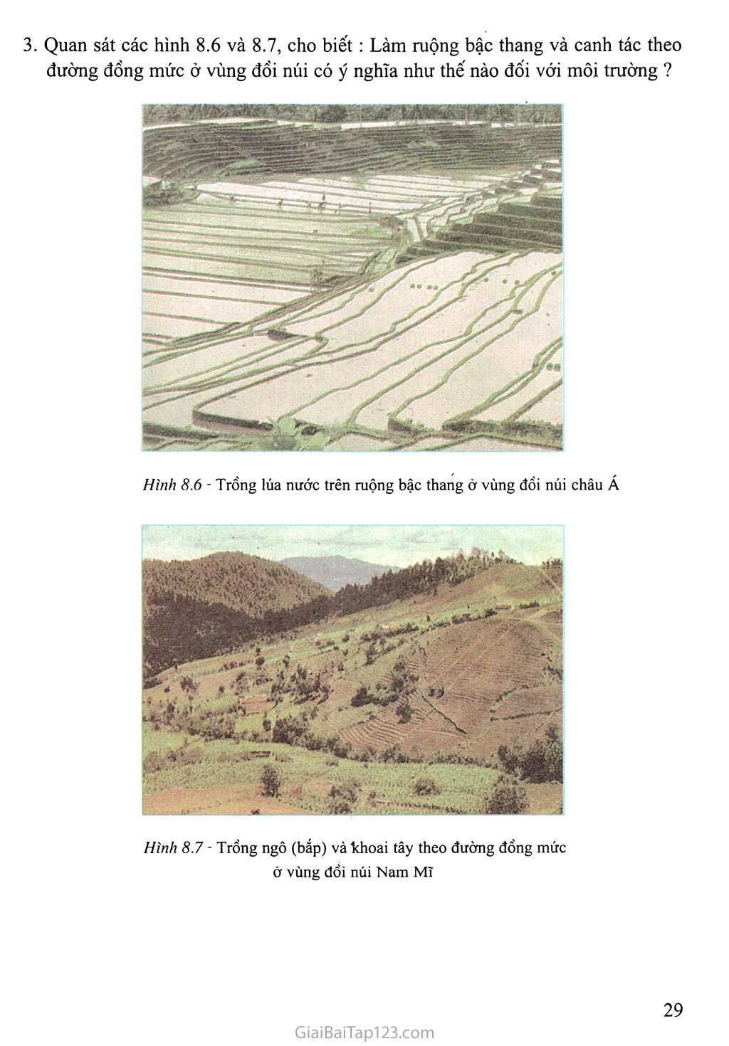 Bài 8: Các hình thức canh tác trong nông nghiệp ở đới nóng trang 4