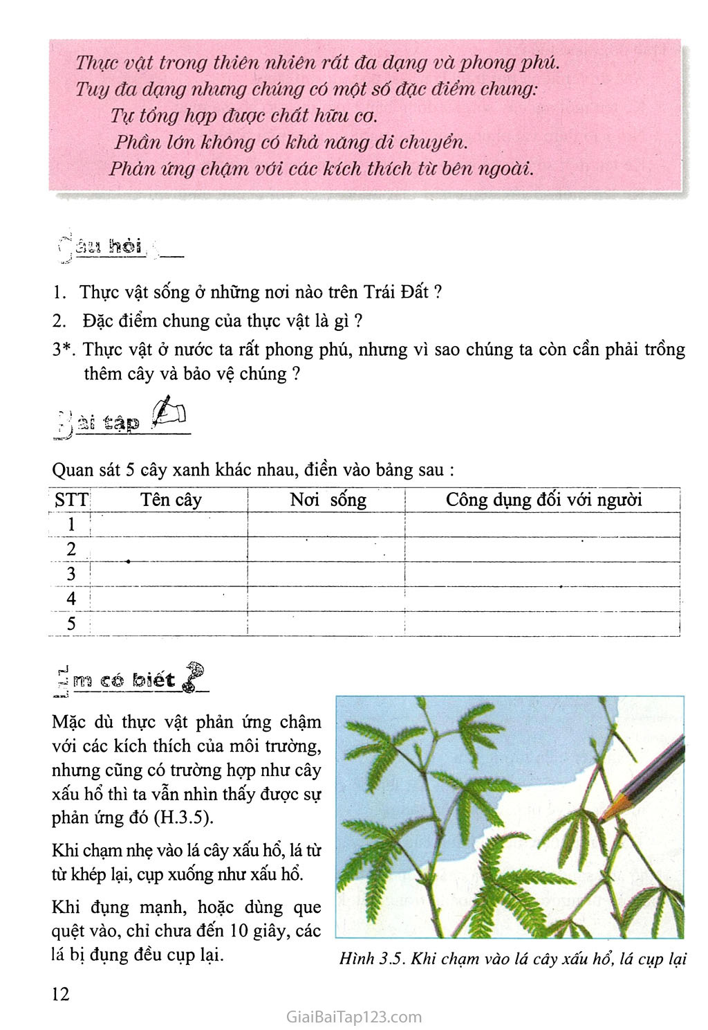 Bài 3: Đặc điểm chung của thực vật trang 3