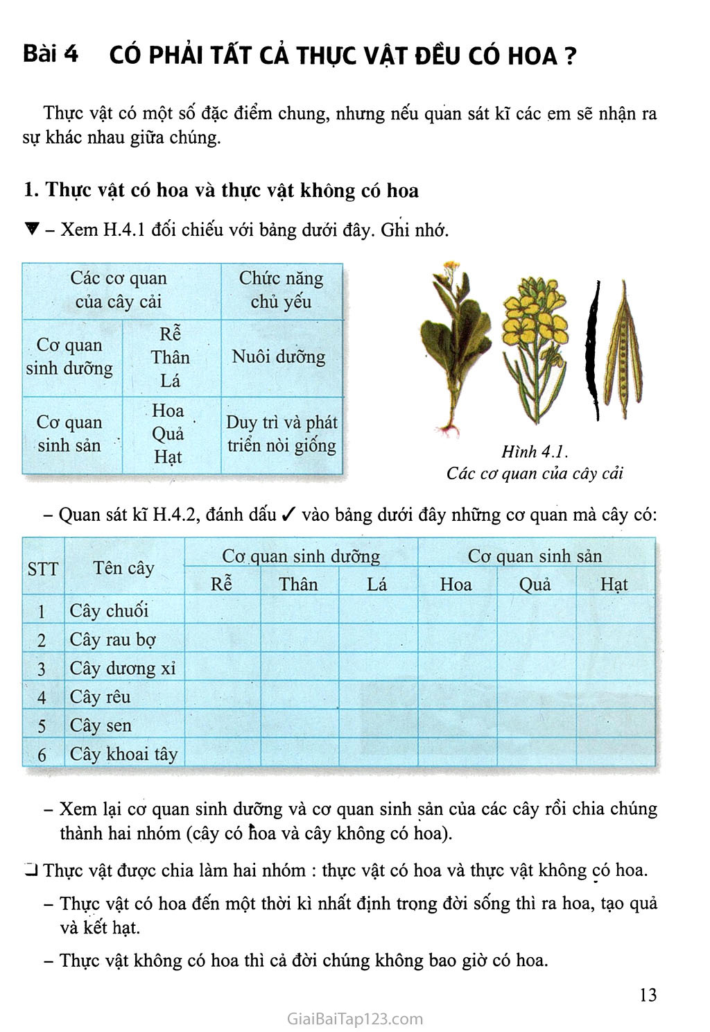 Bài 4: Có phải tất cả thực vật đều có hoa? trang 1