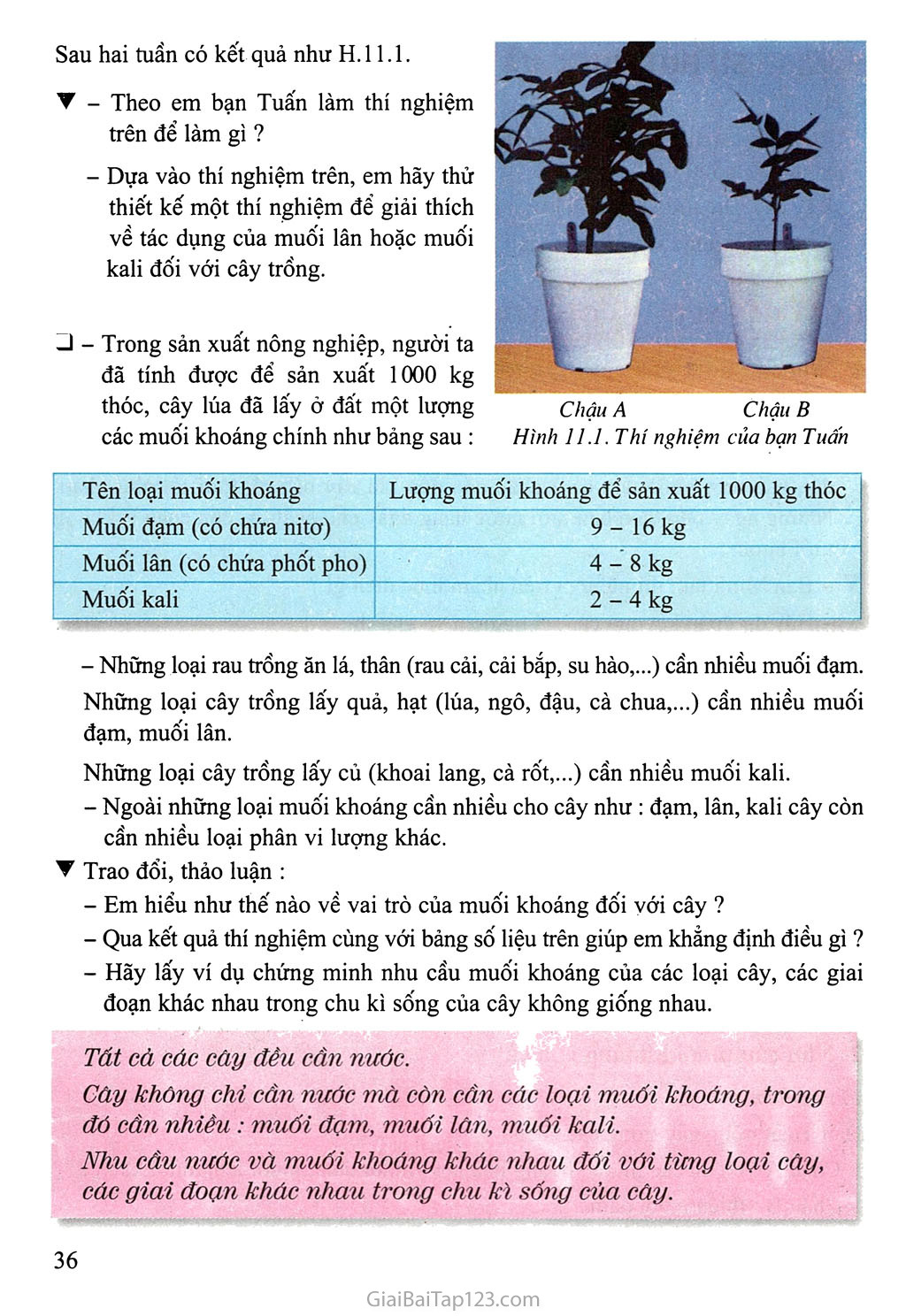 Bài 11: Sự hút nước và muối khoáng của rễ trang 2