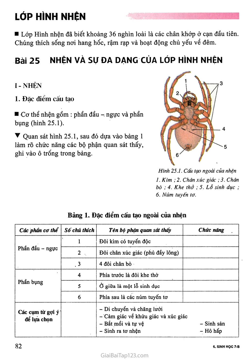 Bài 25: Nhện và sự đa dạng của lớp Hình nhện trang 1