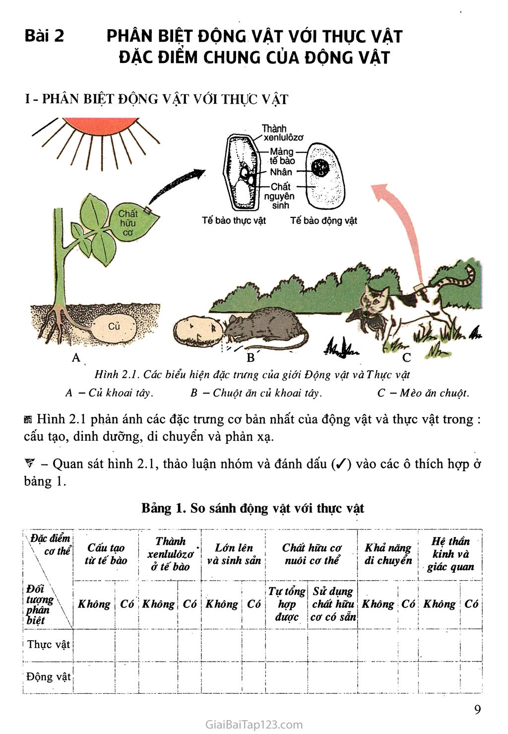 Bài 2: Phân biệt động vật với thực vật. Đặc điểm chung của động vật trang 1
