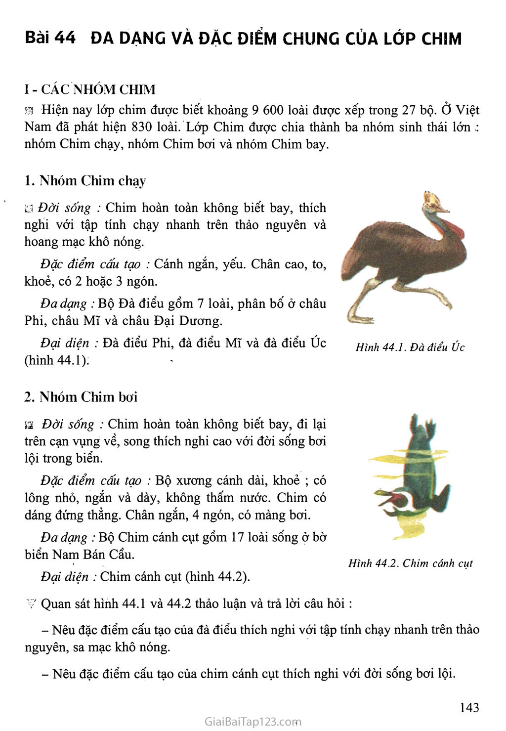 Bài 44: Đa dạng và đặc điểm chung của lớp Chim trang 1