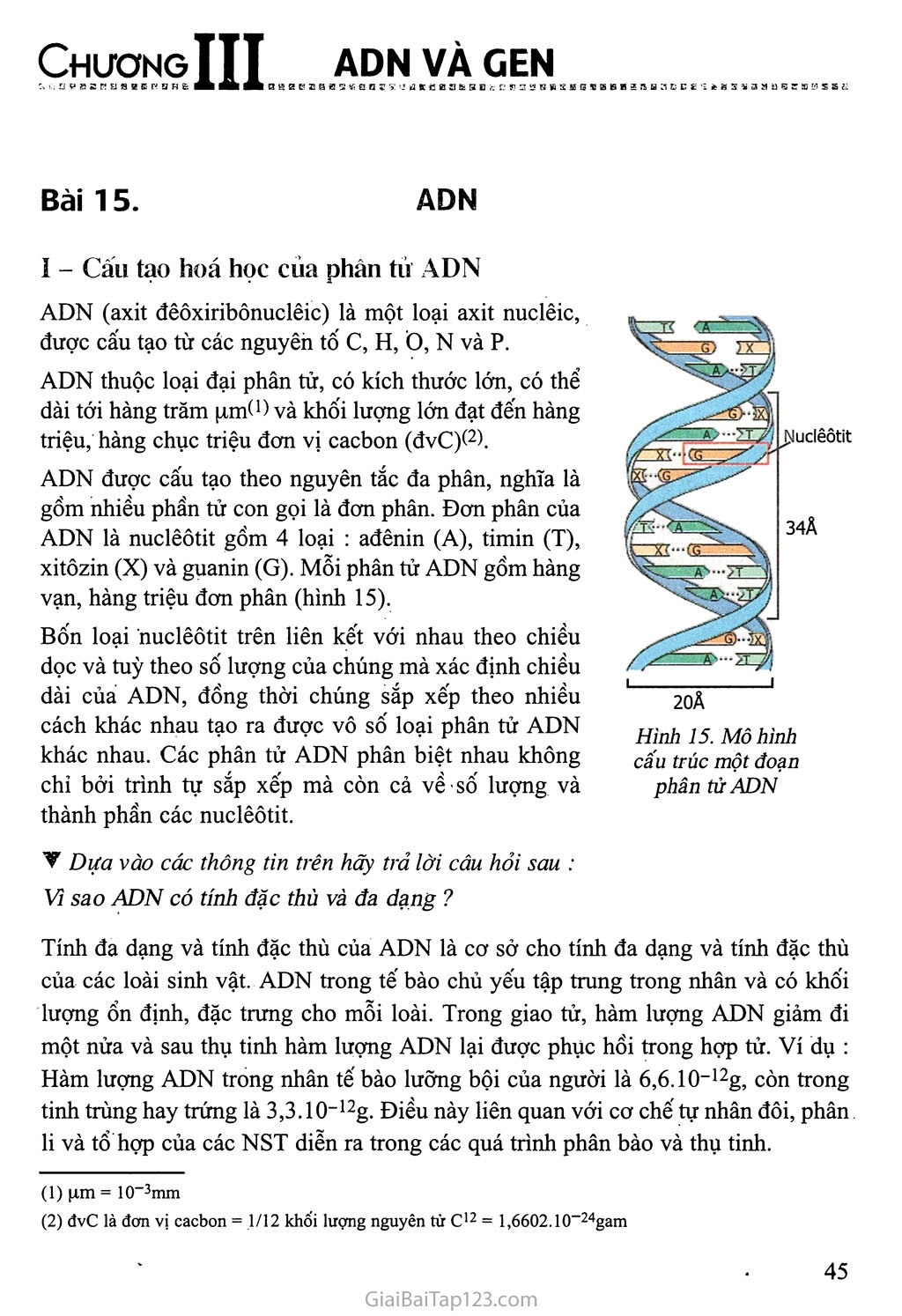 Bài 15. ADN trang 1