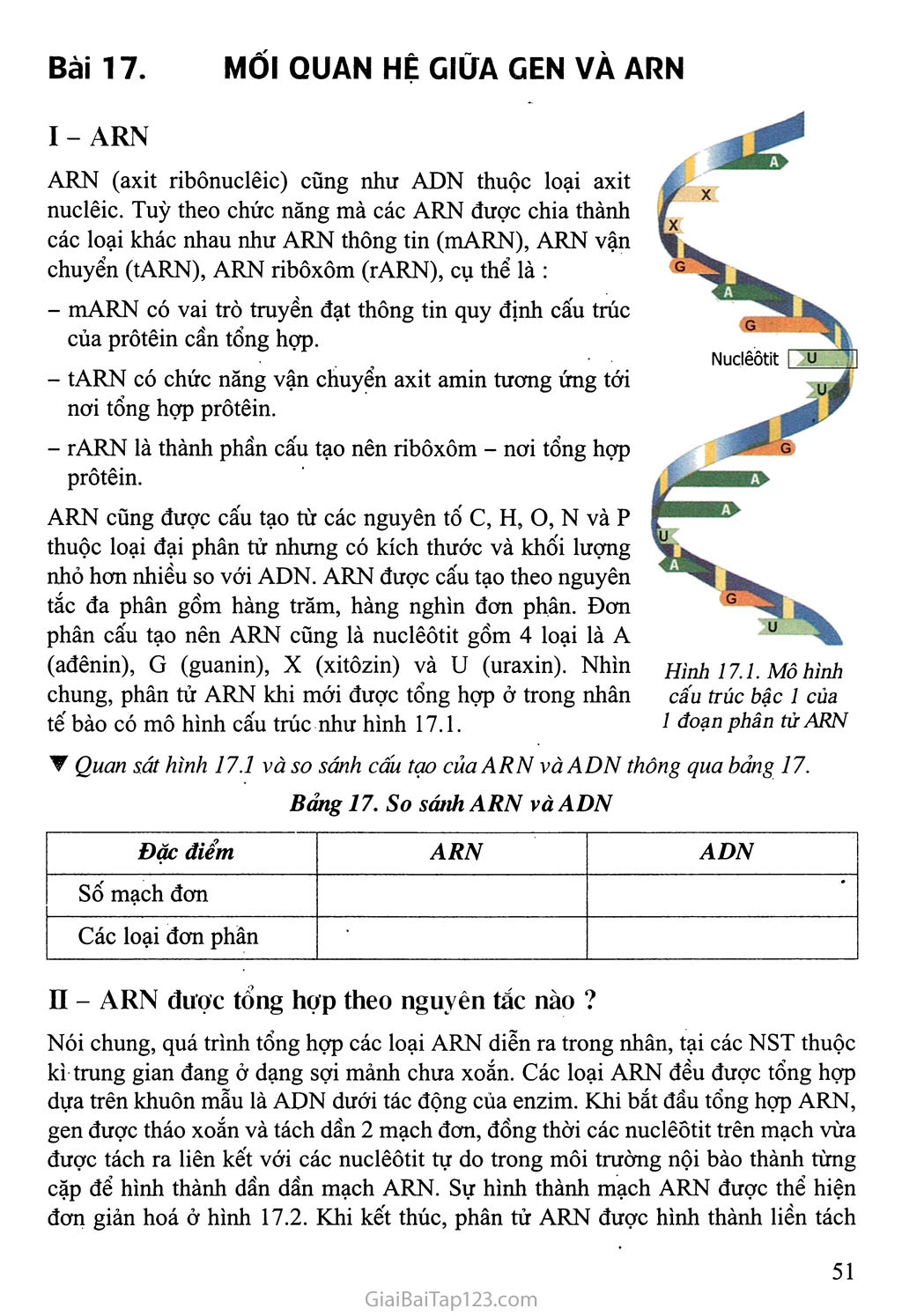 Bài 17. Mối quan hệ giữa gen và ARN trang 1