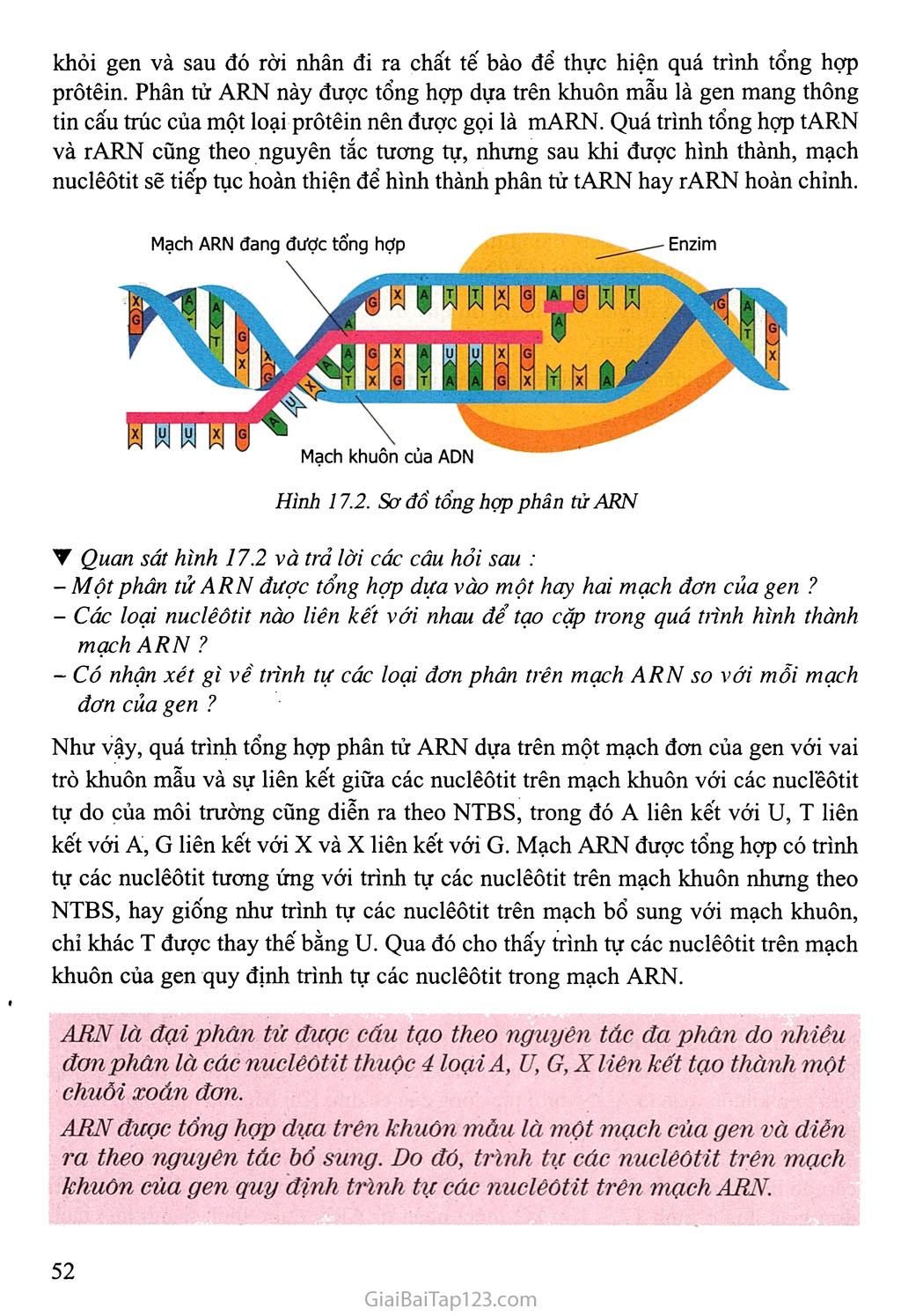 Bài 17. Mối quan hệ giữa gen và ARN trang 2
