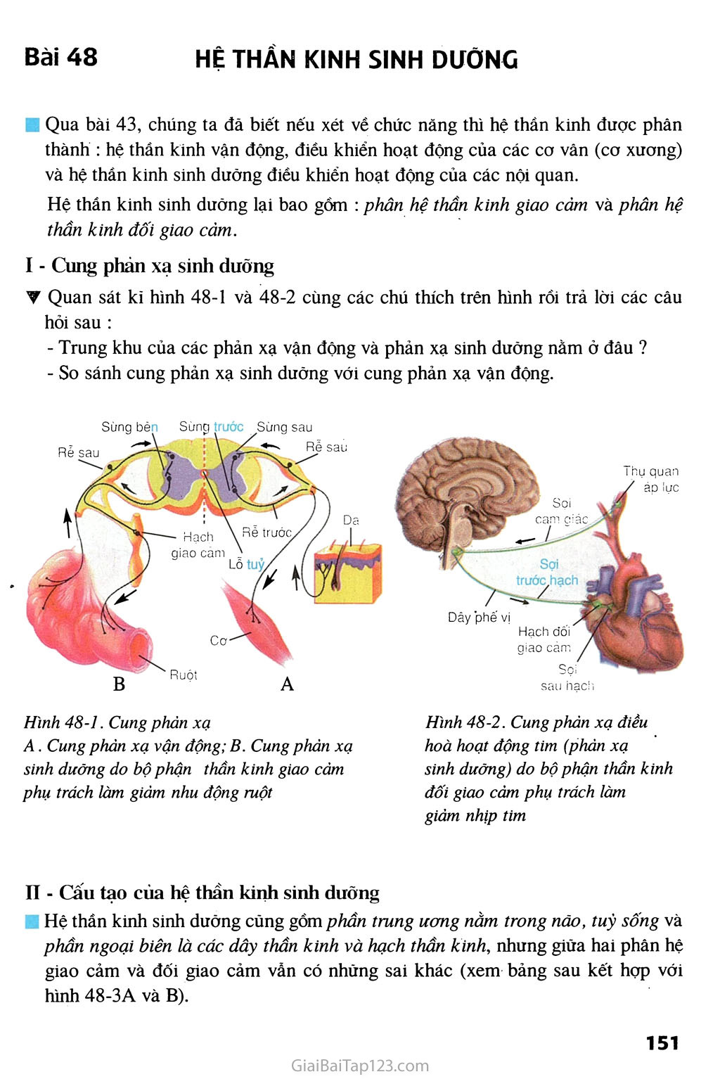 Bài 48. Hệ thần kinh sinh dưỡng trang 1