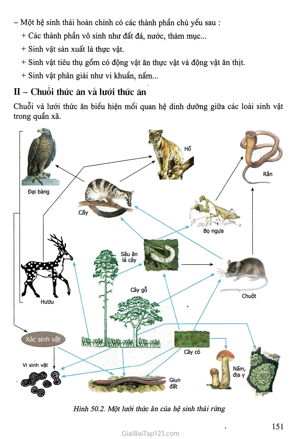 SGK Sinh Học 8 - Bài 50. Hệ sinh thái
