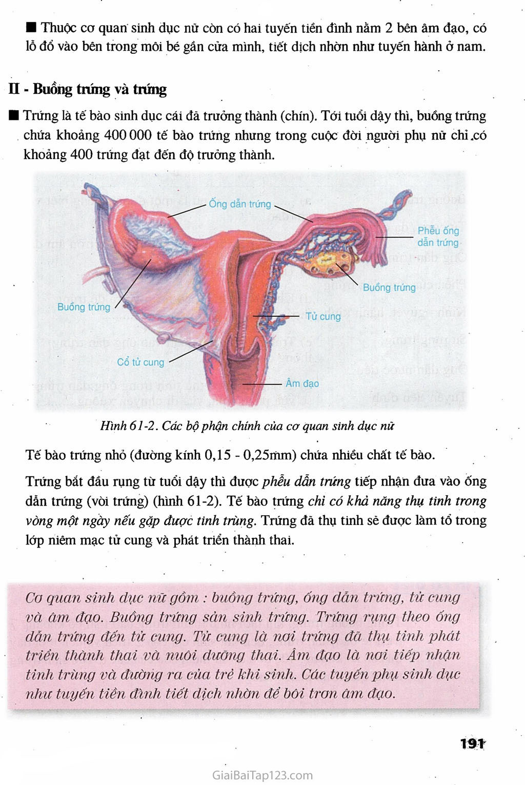 Bài 61. Cơ quan sinh dục nữ trang 2