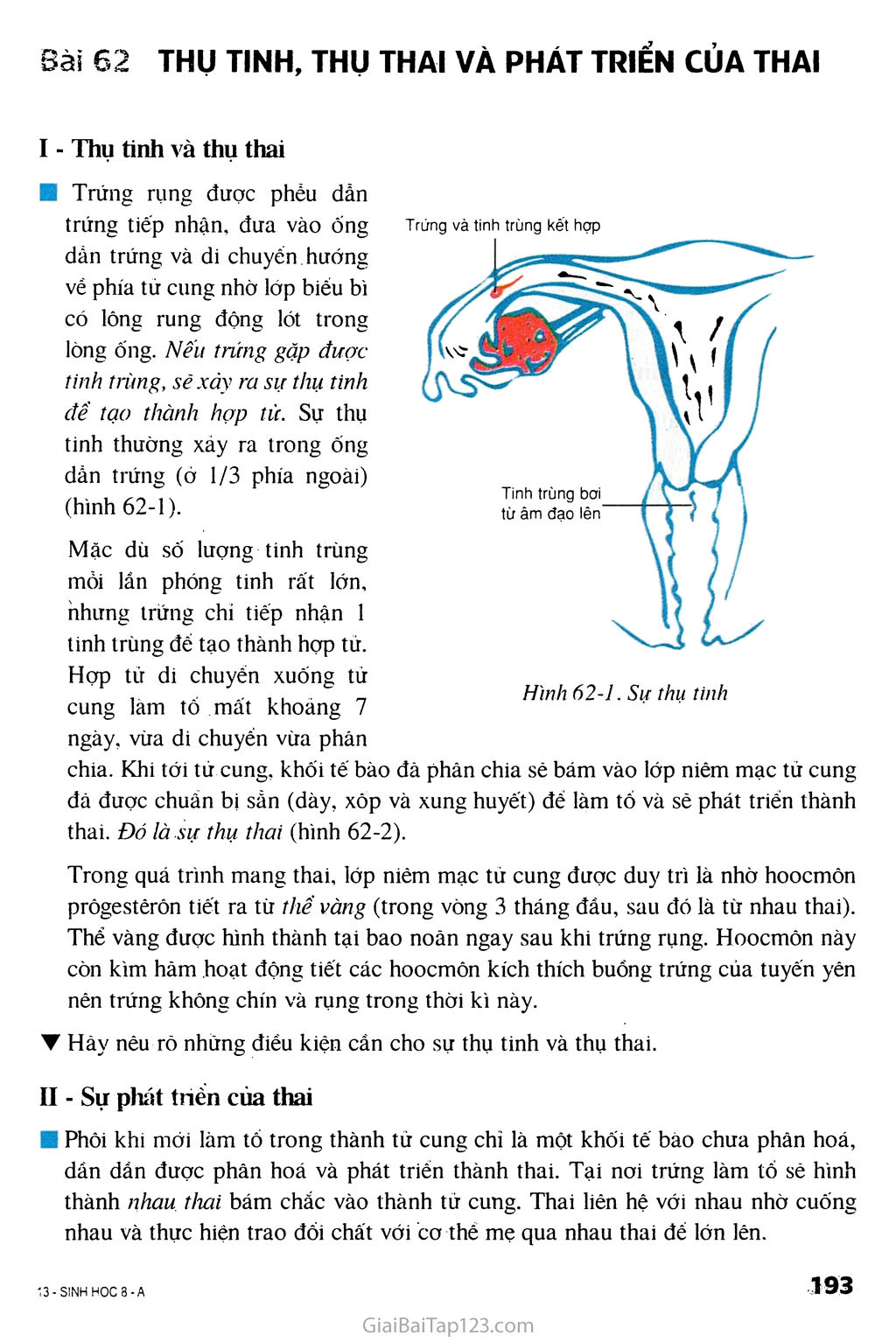 Bài 62. Thụ tinh, thụ thai và phát triển của thai trang 1