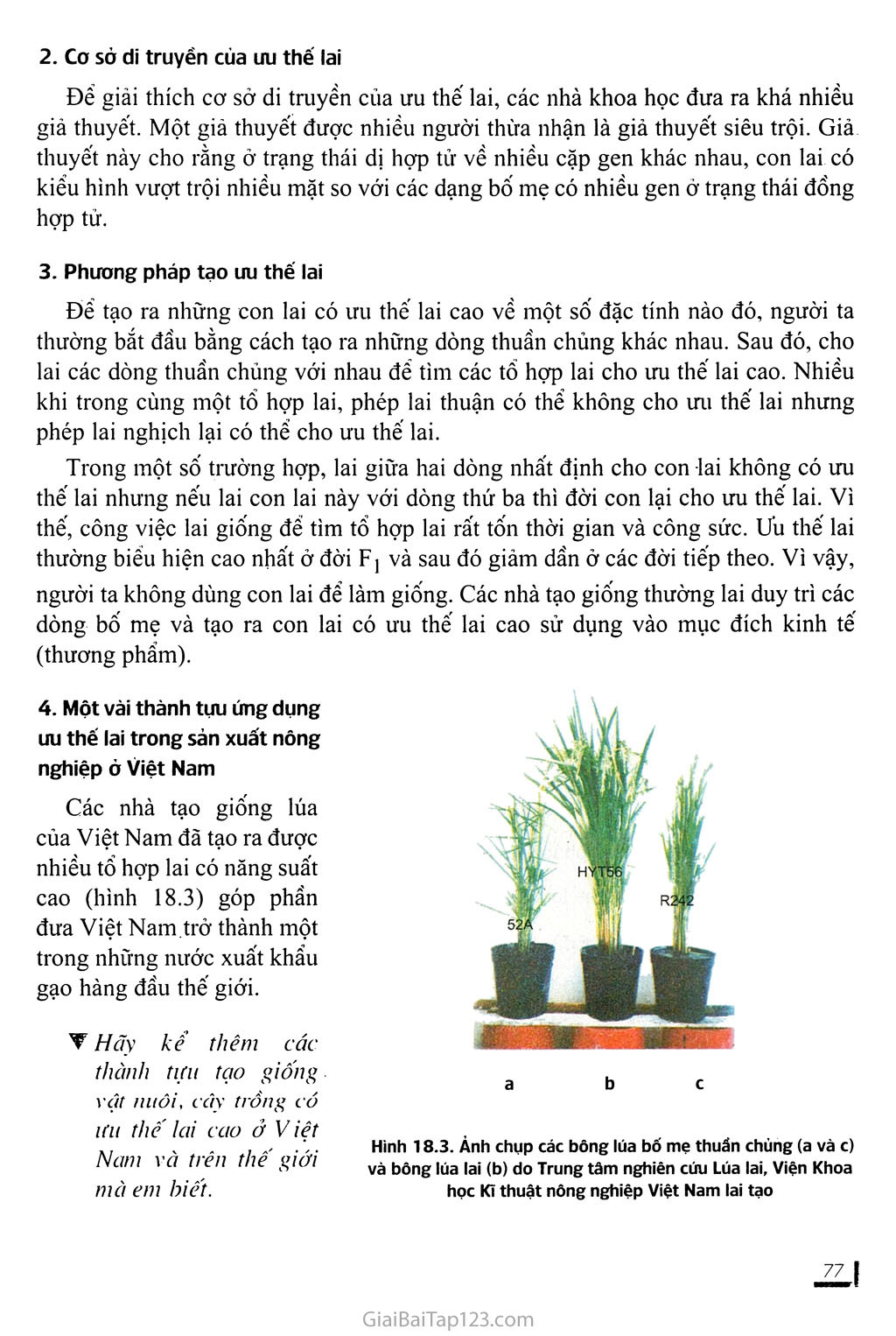 Bài 18. Chọn giống vật nuôi và cây trồng dựa trên nguồn biến dị tổ hợp trang 3