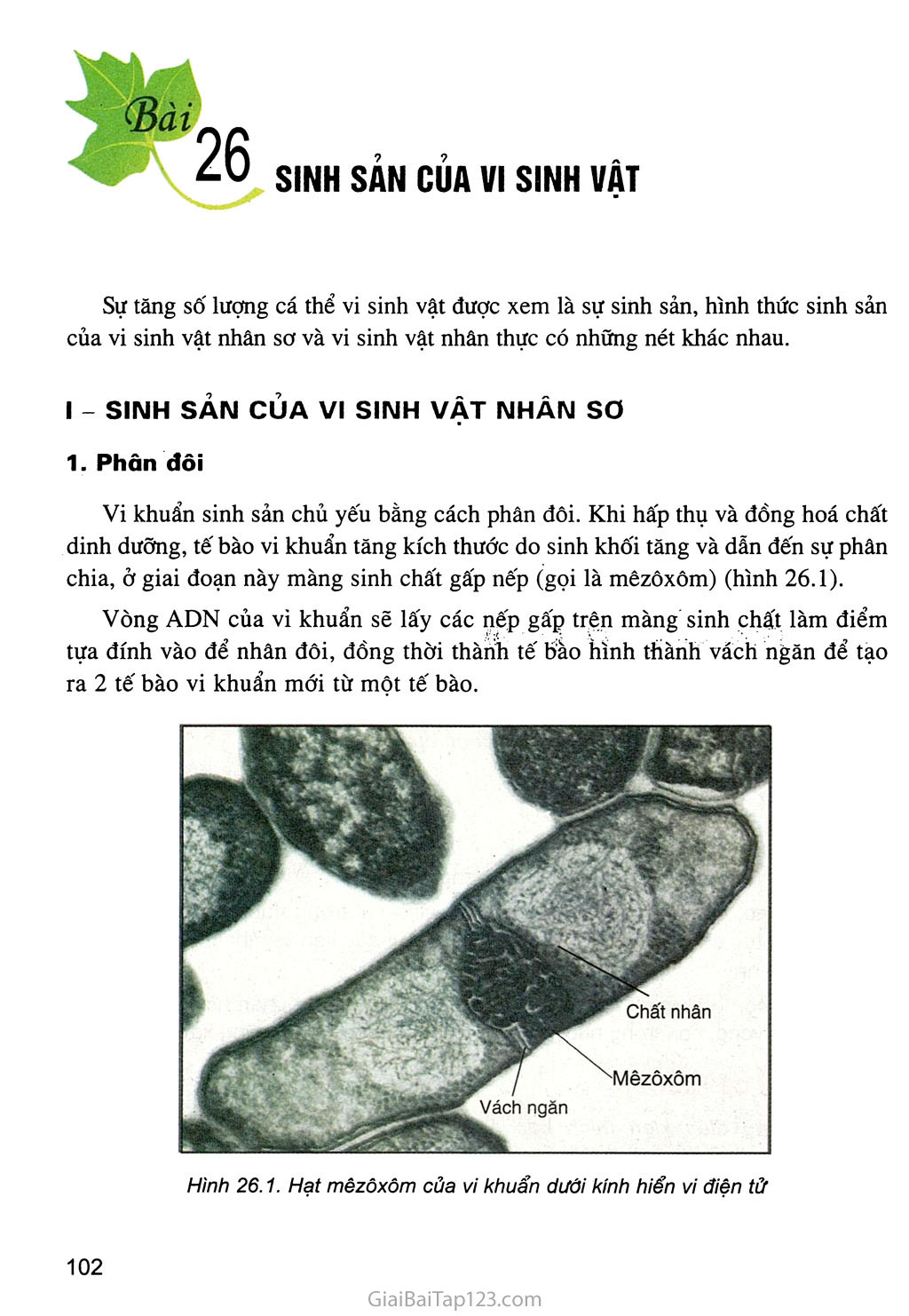 Bài 26. Sinh sản của vi sinh vật trang 1
