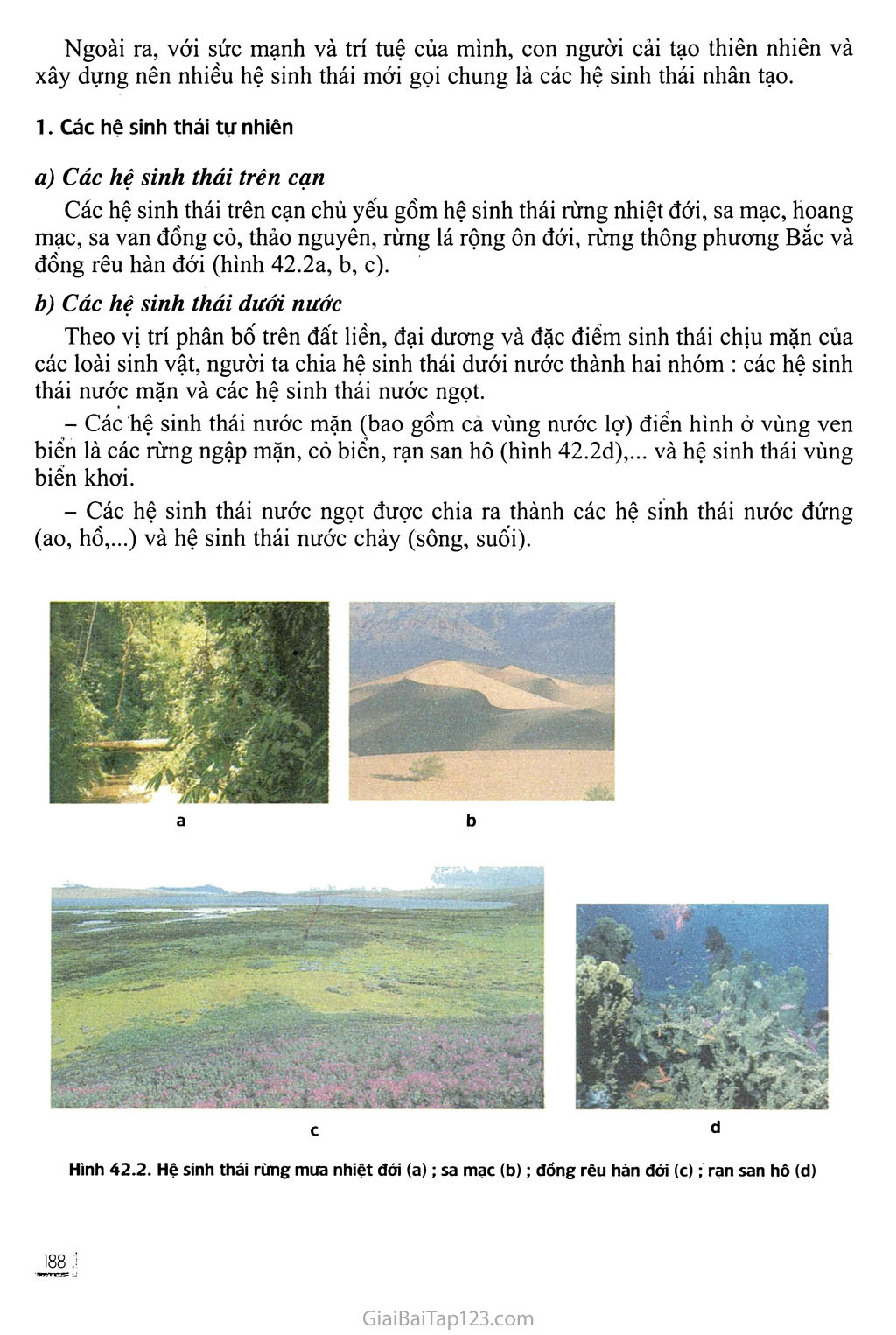 Bài 42. Hệ sinh thái trang 3