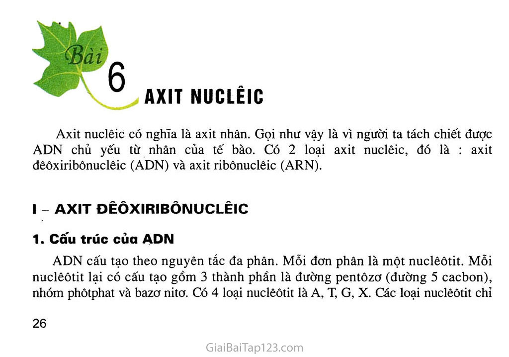 Bài 6. Axit nuclêic trang 1