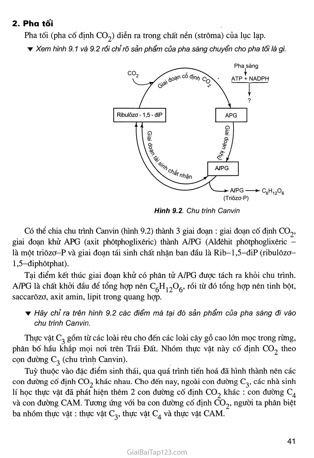 Bài 9. Quang hợp ở các nhóm thực vật C3, C4 và CAM trang 2