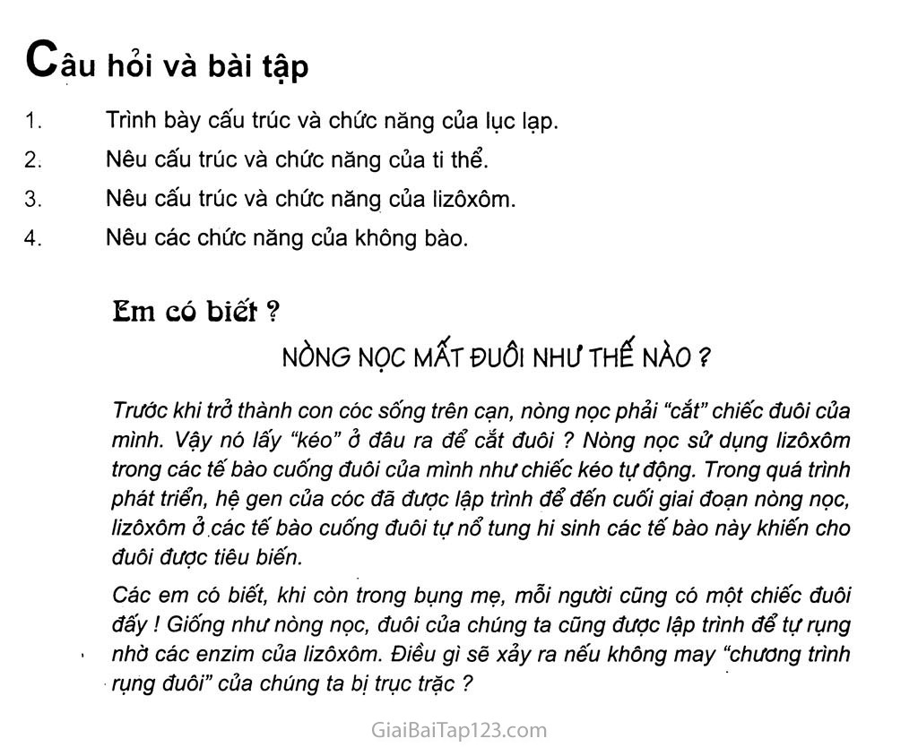 Bài 9. Tế bào nhân thực (tiếp theo) trang 4