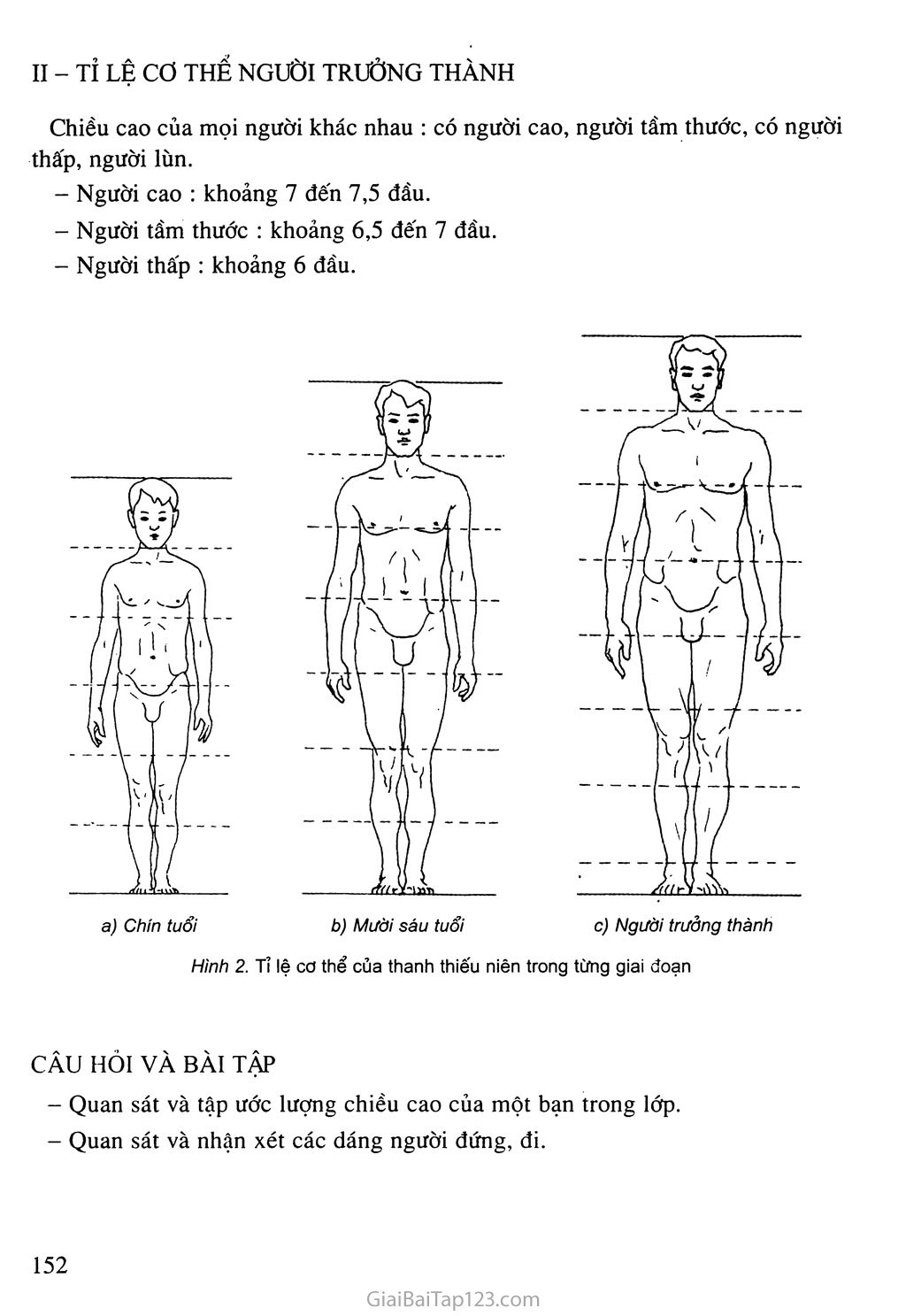 SGK Âm Nhạc và Mĩ Thuật 8 - Bài 26. Vẽ theo mẫu - Giới thiệu tỉ lệ cơ thể  người