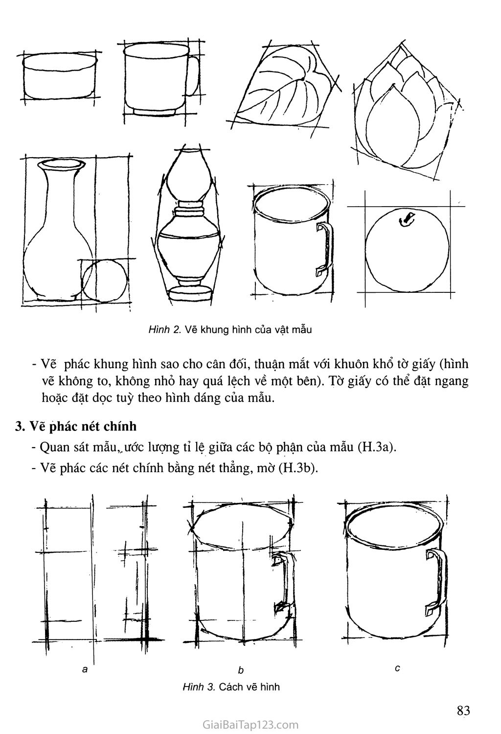Bài 4  Vẽ theo mẫu  Cách vẽ theo mẫu  Mĩ thuật lớp 6  Linhkidnet