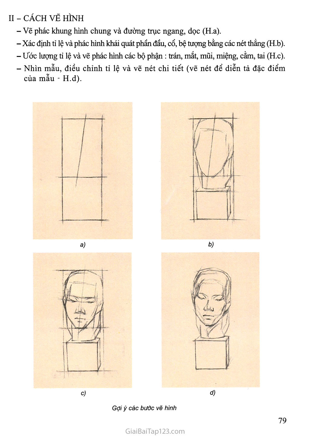 Bài 7. Vẽ theo mẫu Vẽ tượng chân dung (Tượng thạch cao - Vẽ hình) trang 2